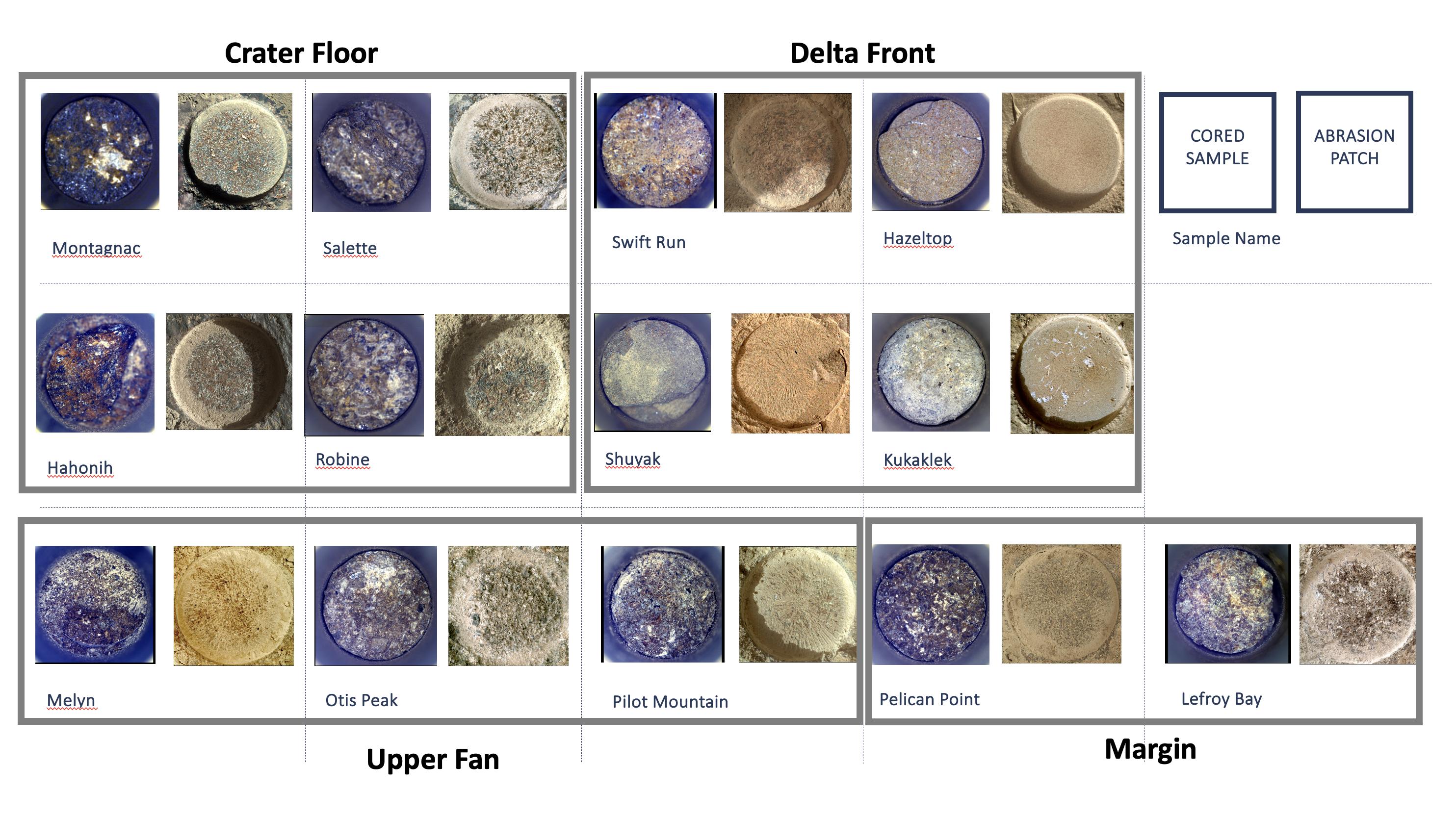 Cored Samples Aboard Perseverance at Sol 1,000