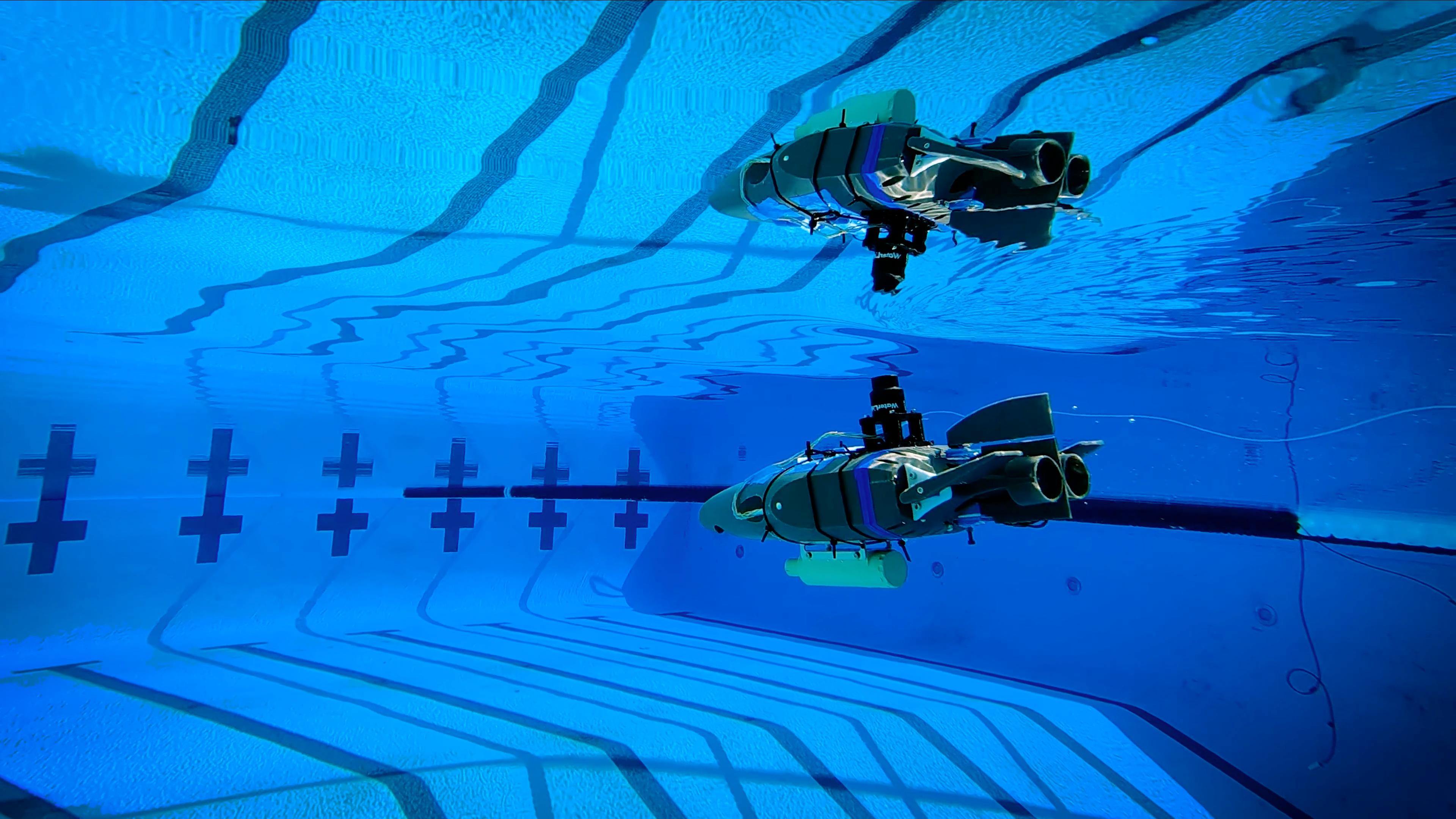 NASA's SWIM Robot Casts Reflection During Pool Testing