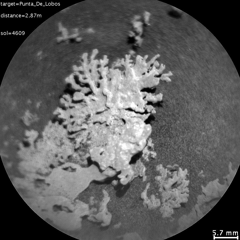 Curiosity's ChemCam Views a Rock Shaped Like Coral