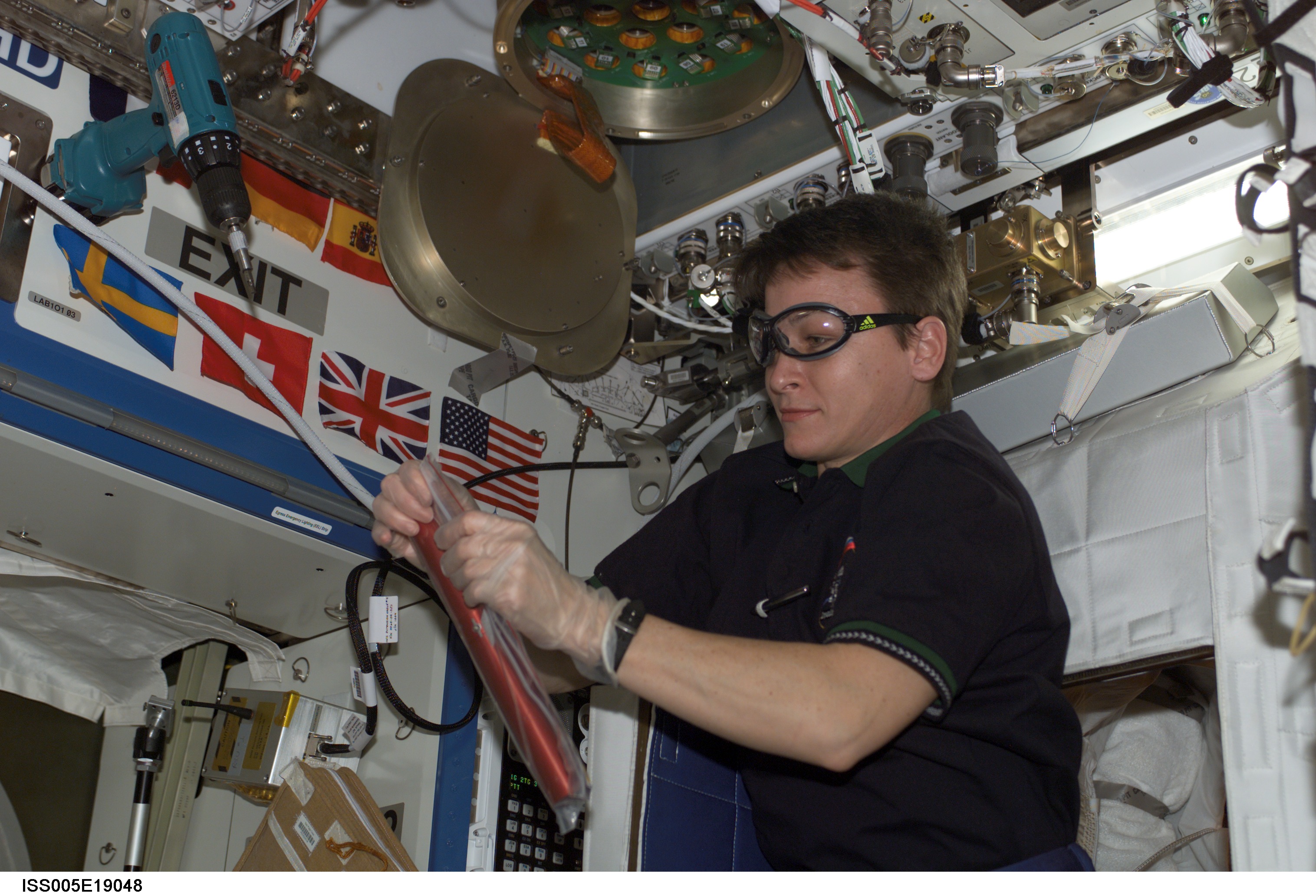 Whitson works with experiment cartridge for the ZCG experiment in the U.S. Laboratory