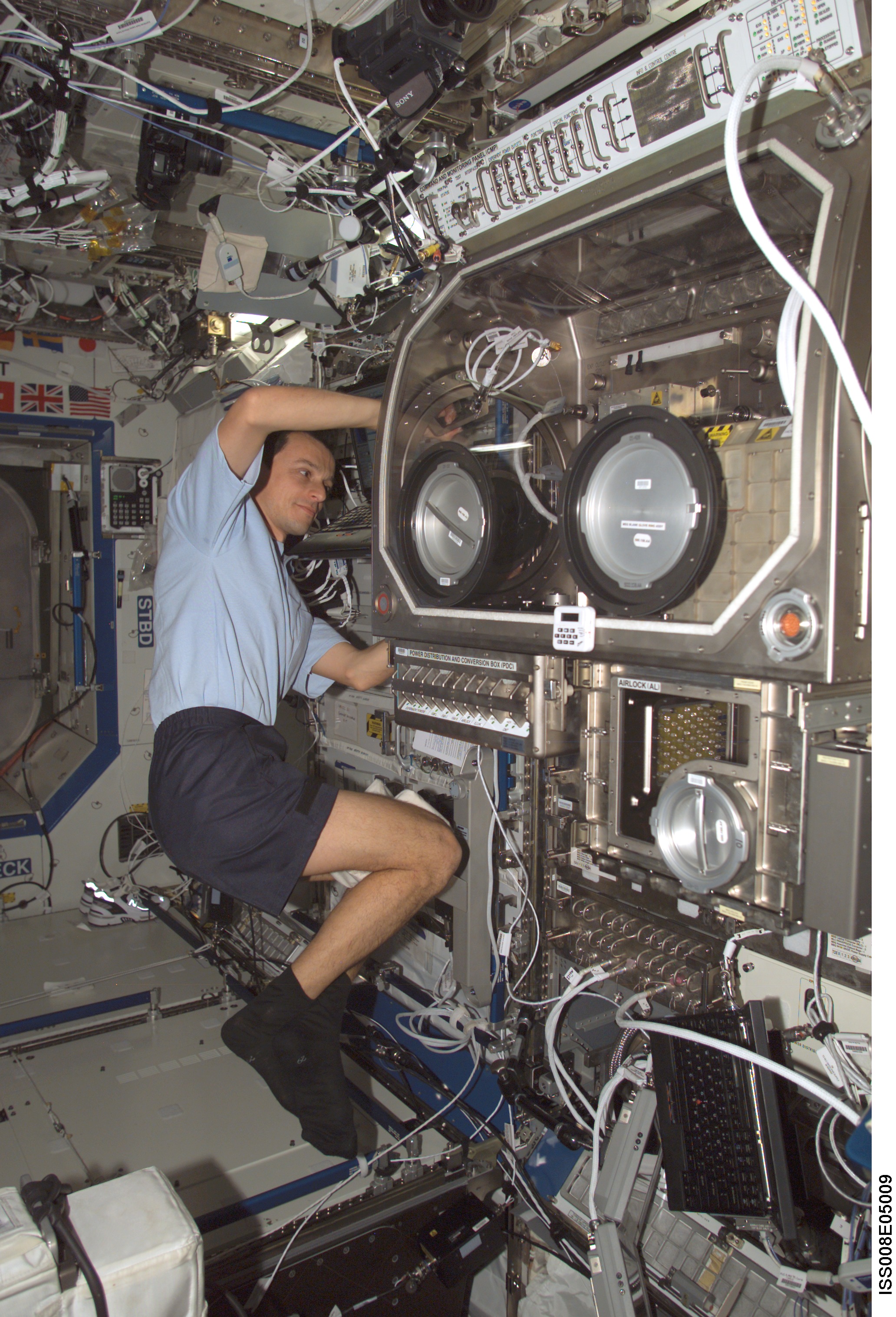 Duque works at the MSG for PromISS 2 in the Lab during Expedition Seven / 8 OPS