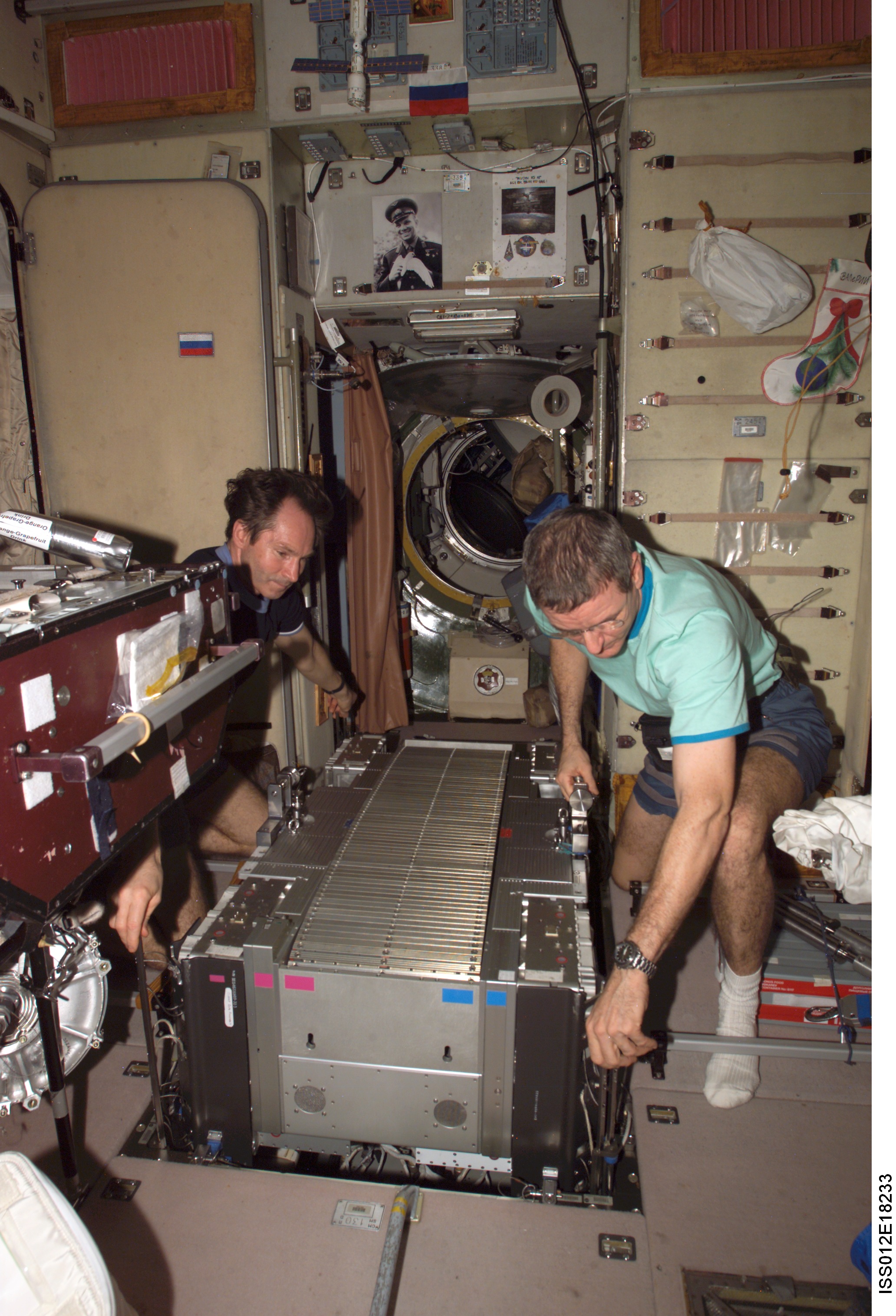 McArthur and Tokarev lift TVIS from the SM pit during TVIS inspection on Expedition 12