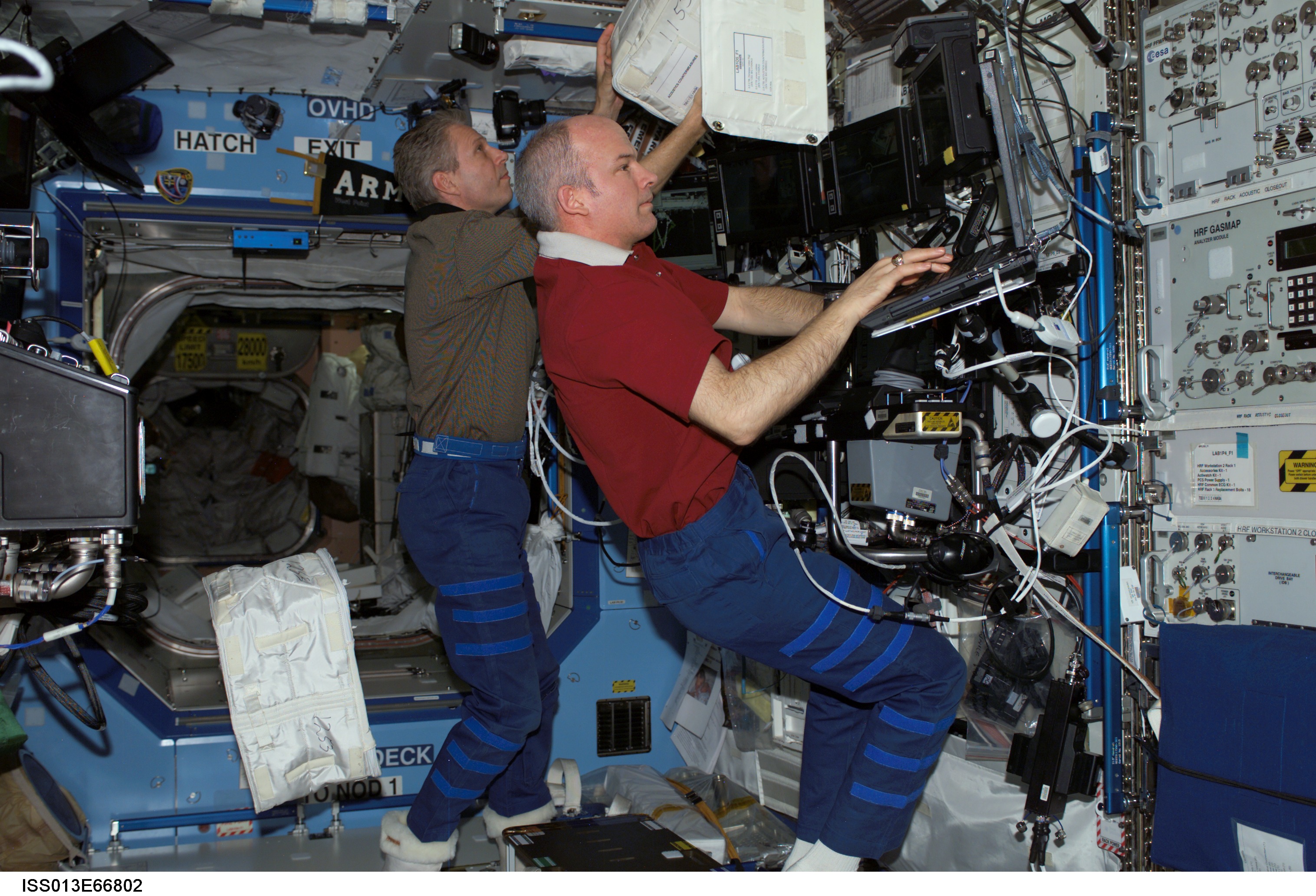 Williams works at the SSRMS in the U.S. Laboratory during Expedition 13