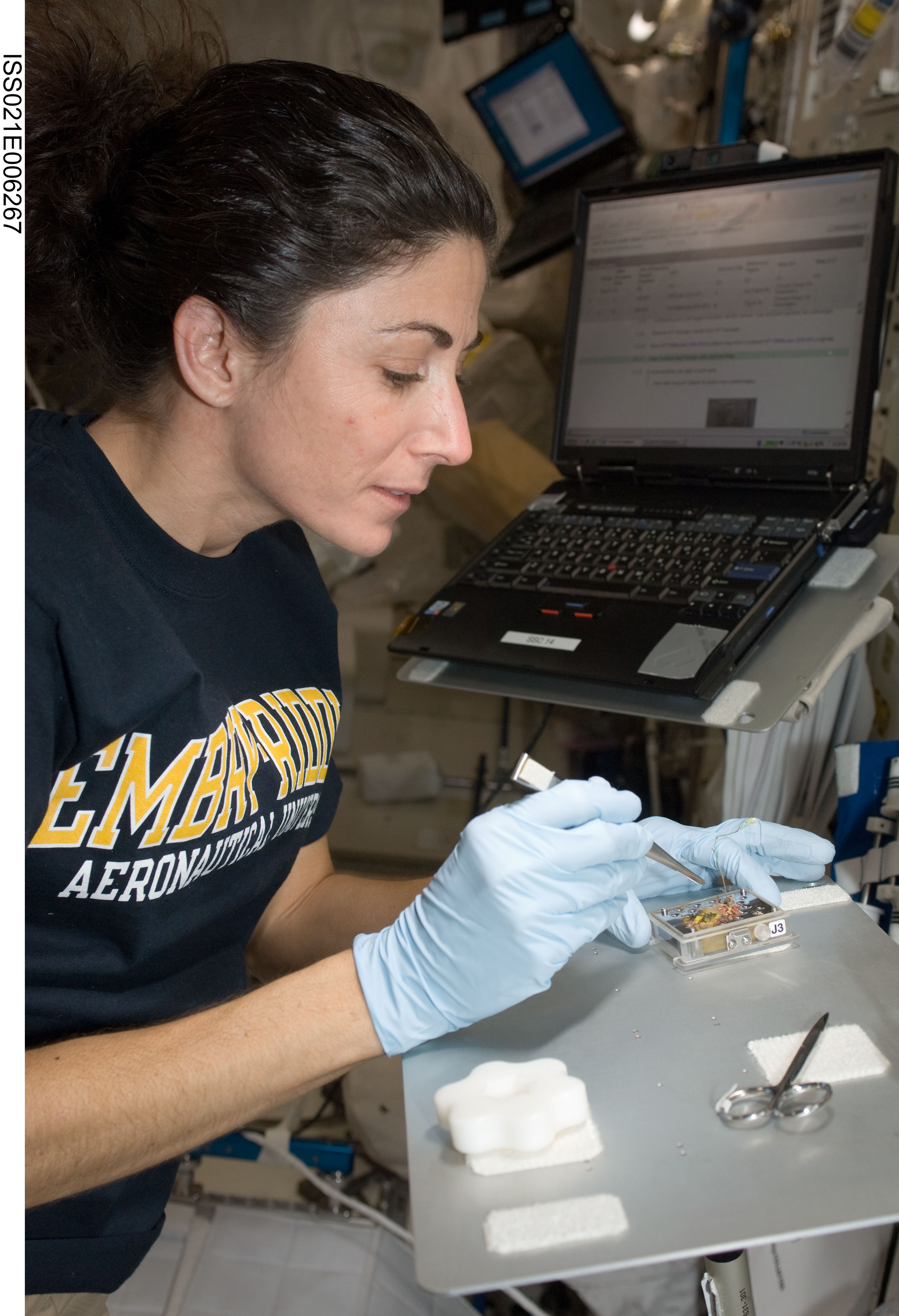 FE-2 Nicole Stott works on the CBEF Space Seed Experiment