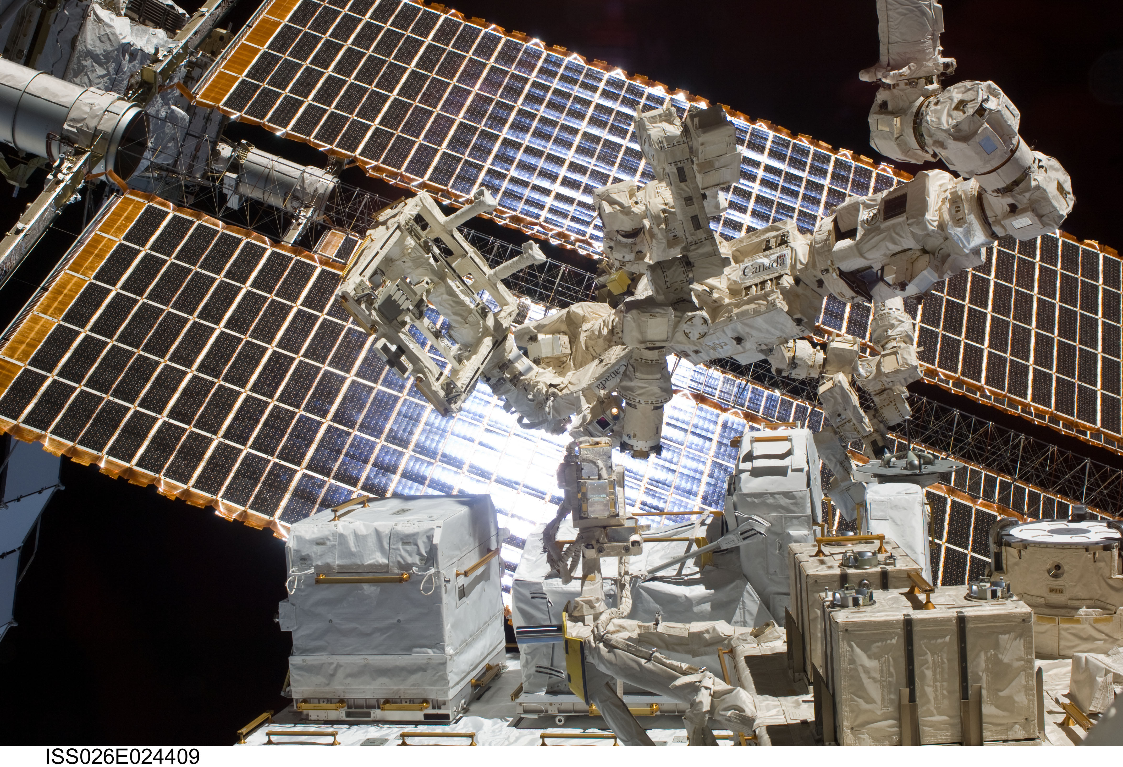 DEXTRE SPDM moves NASA Payloads