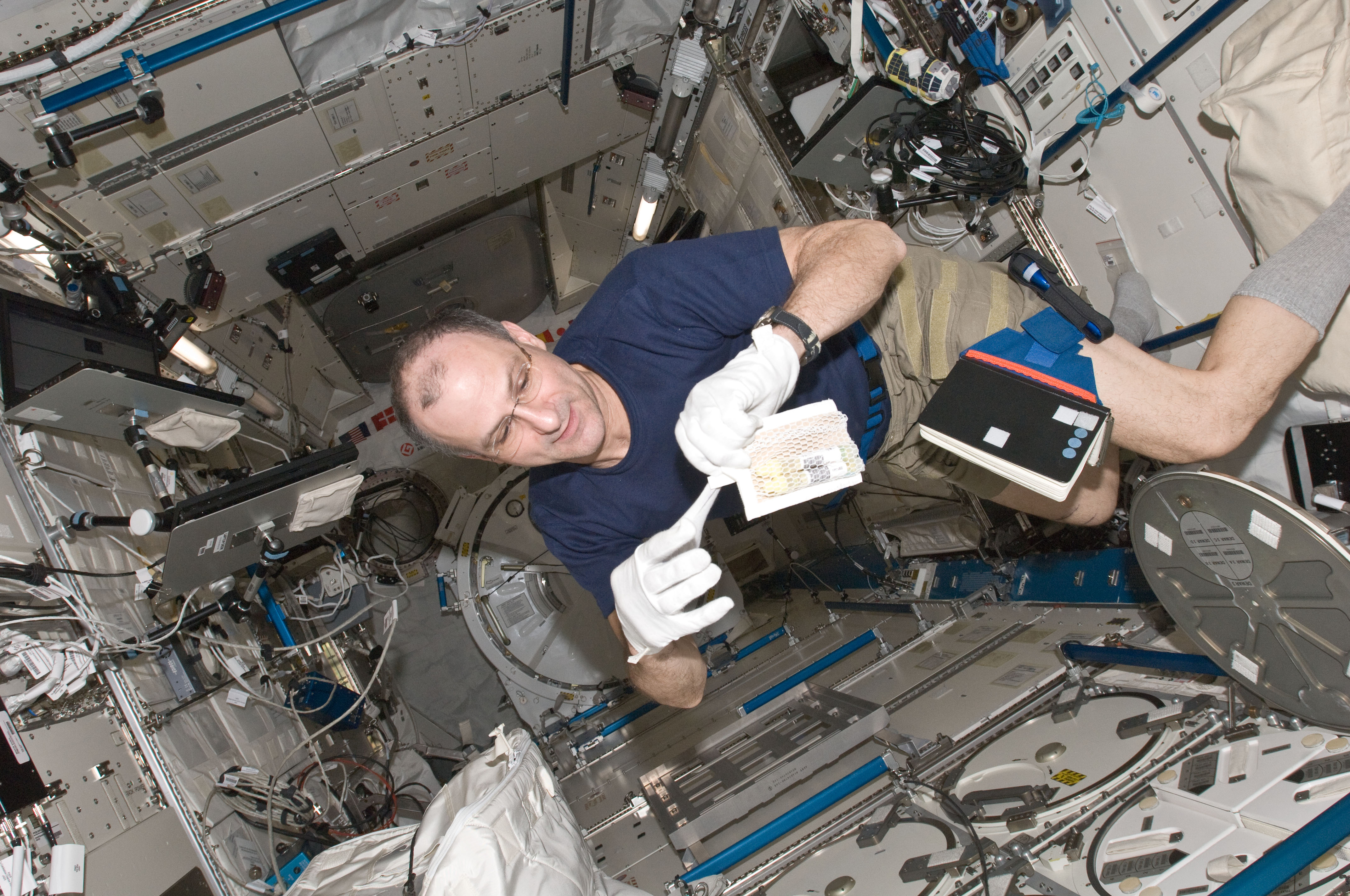 Pettit prepares to insert biological samples in the MELFI in the JPM