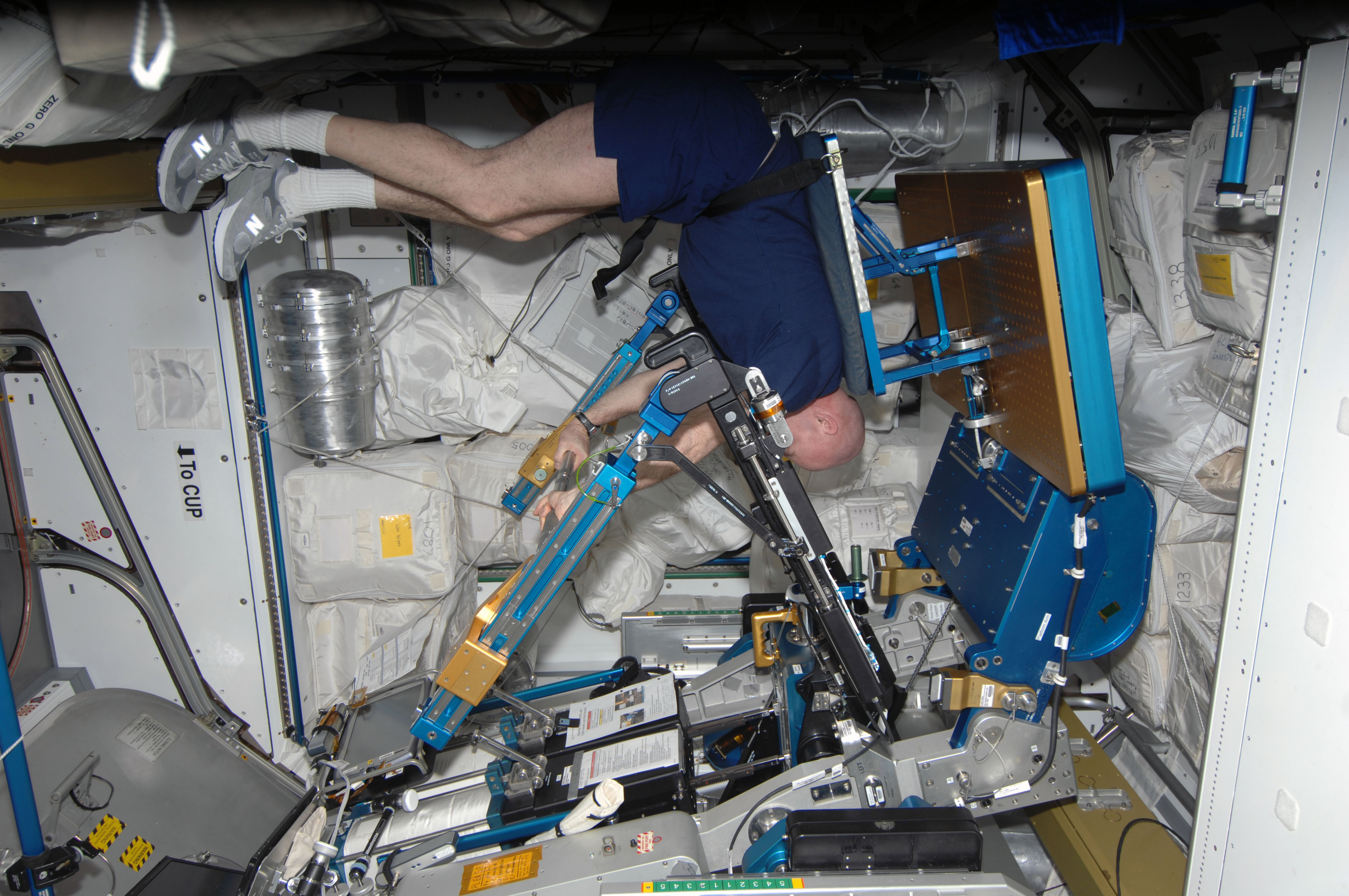 Kuipers prepares to exercise on the ARED in the Node 3