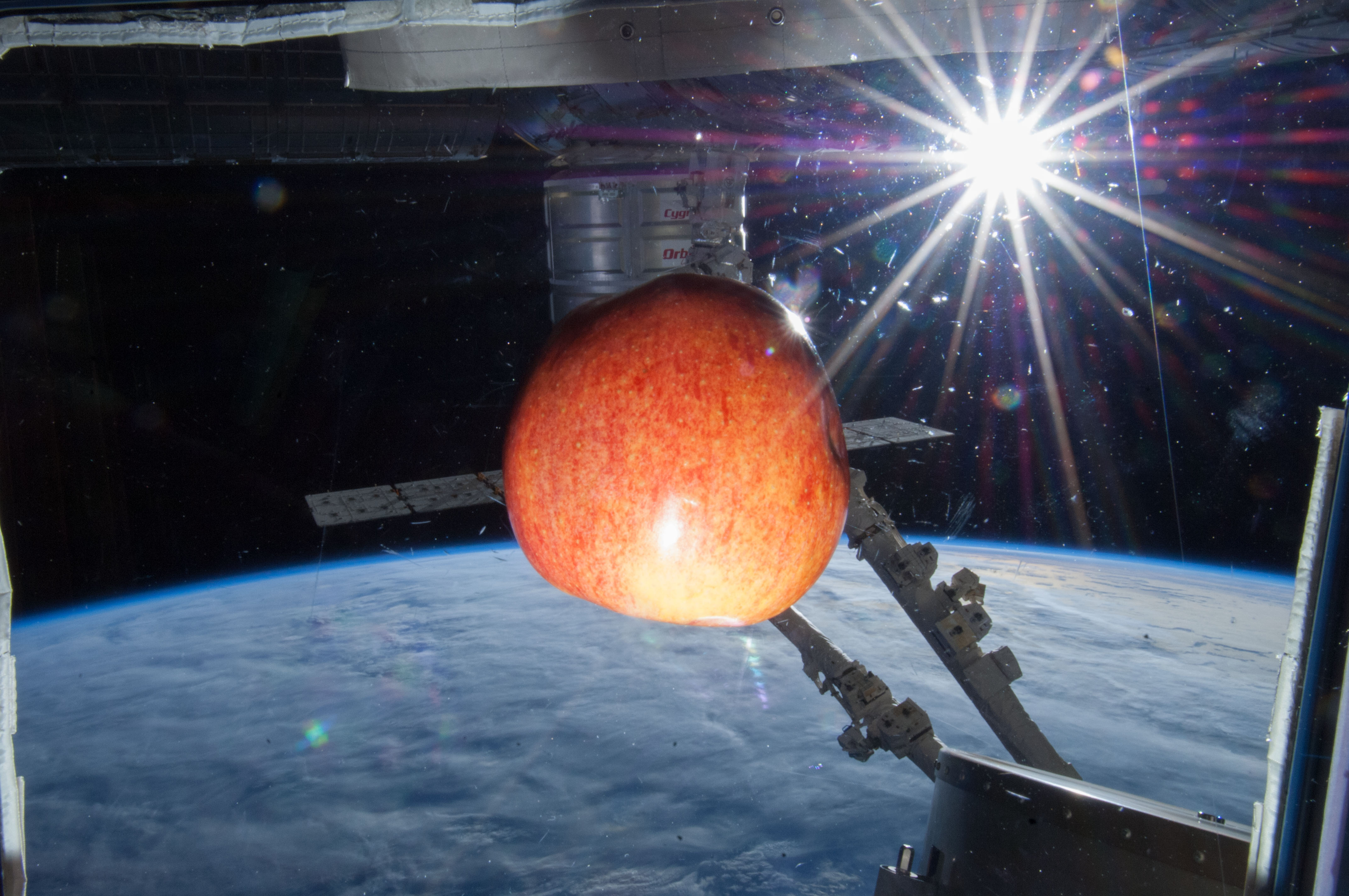 Fruit Floating at Cupola Window