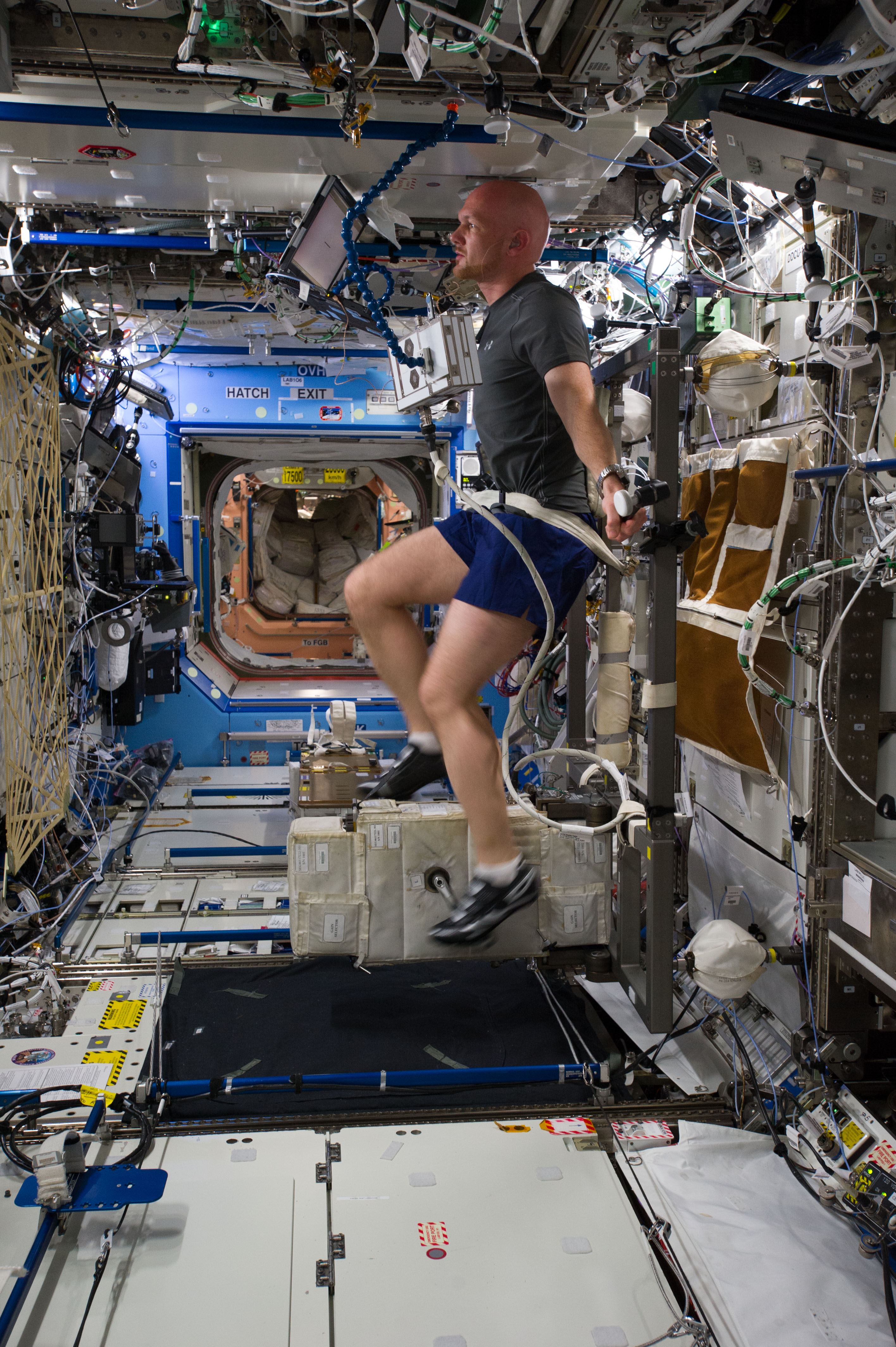 Gerst in U.S. Laboratory