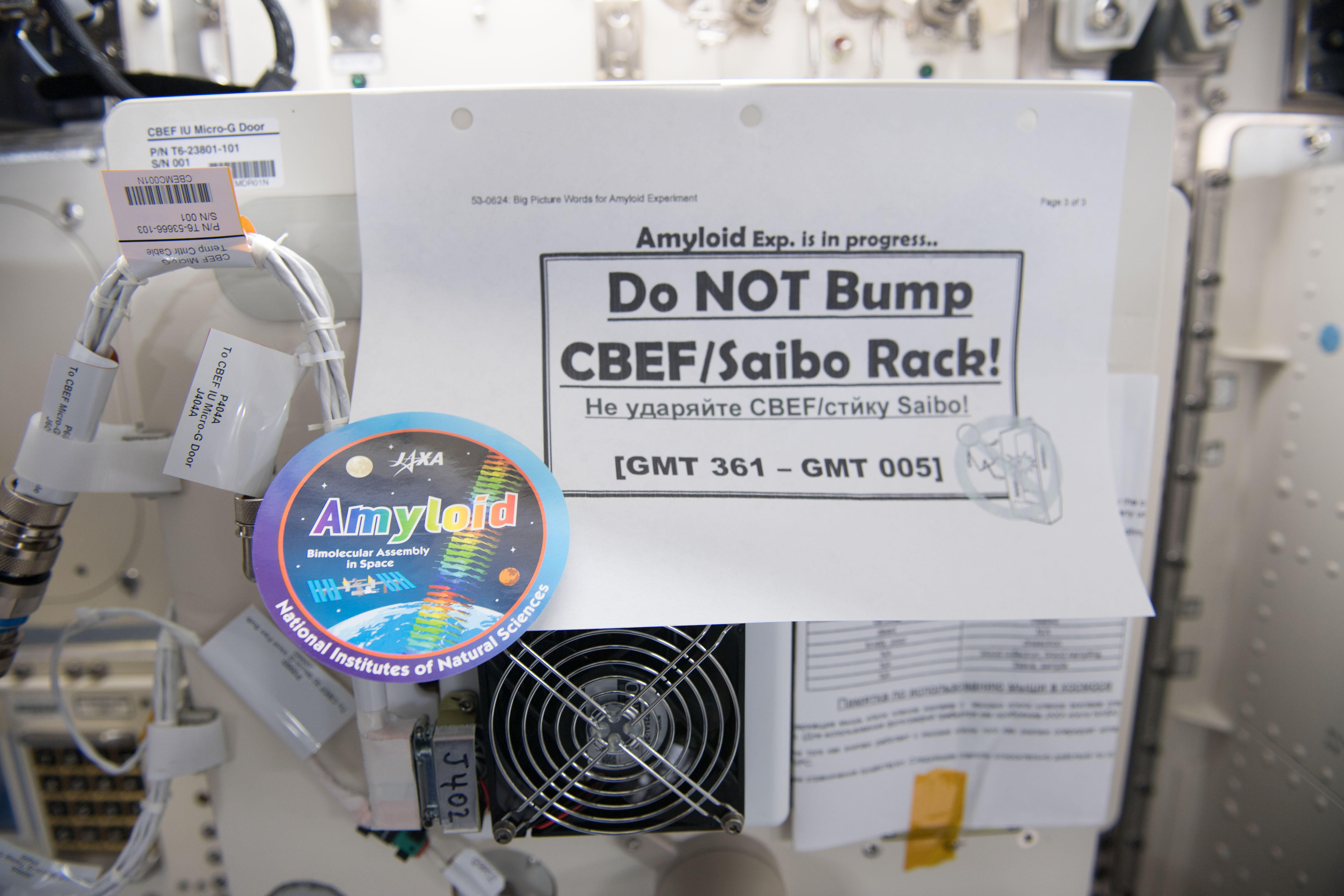 CBEF during Amyloid Experiment OPS