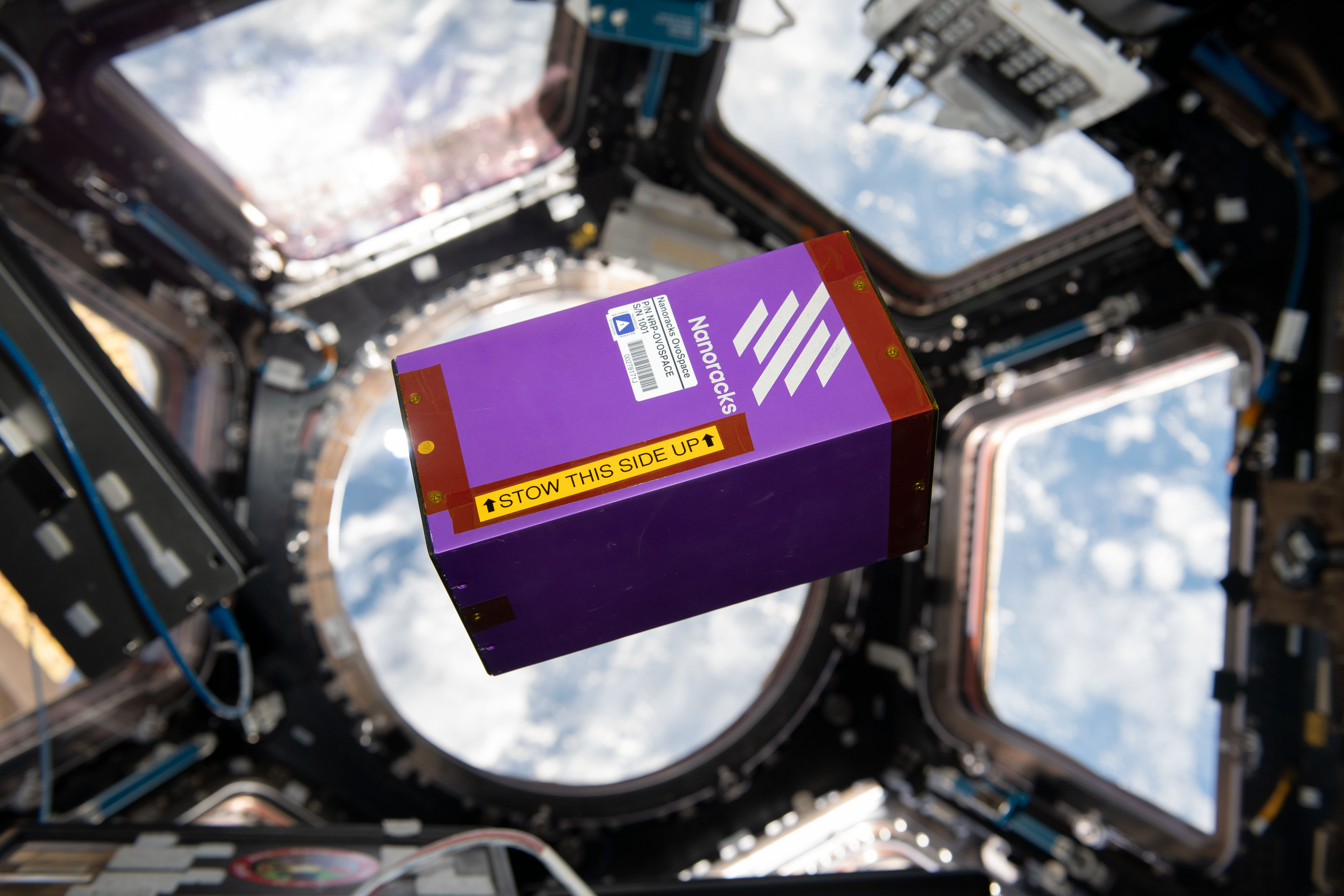 Nanoracks Module in the Cupola