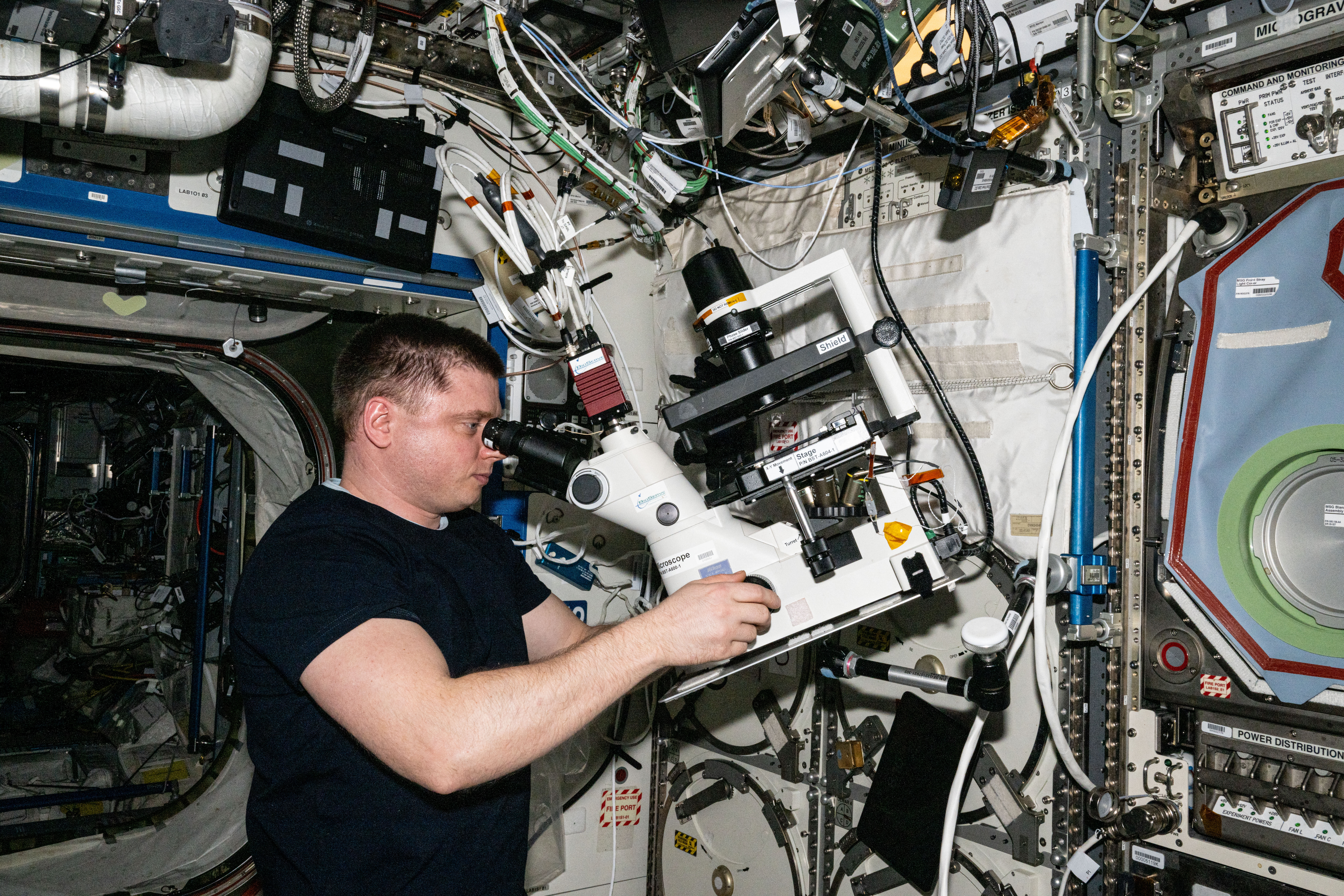 Cosmonaut Alexander Grebenkin peers into a microscope during research activities
