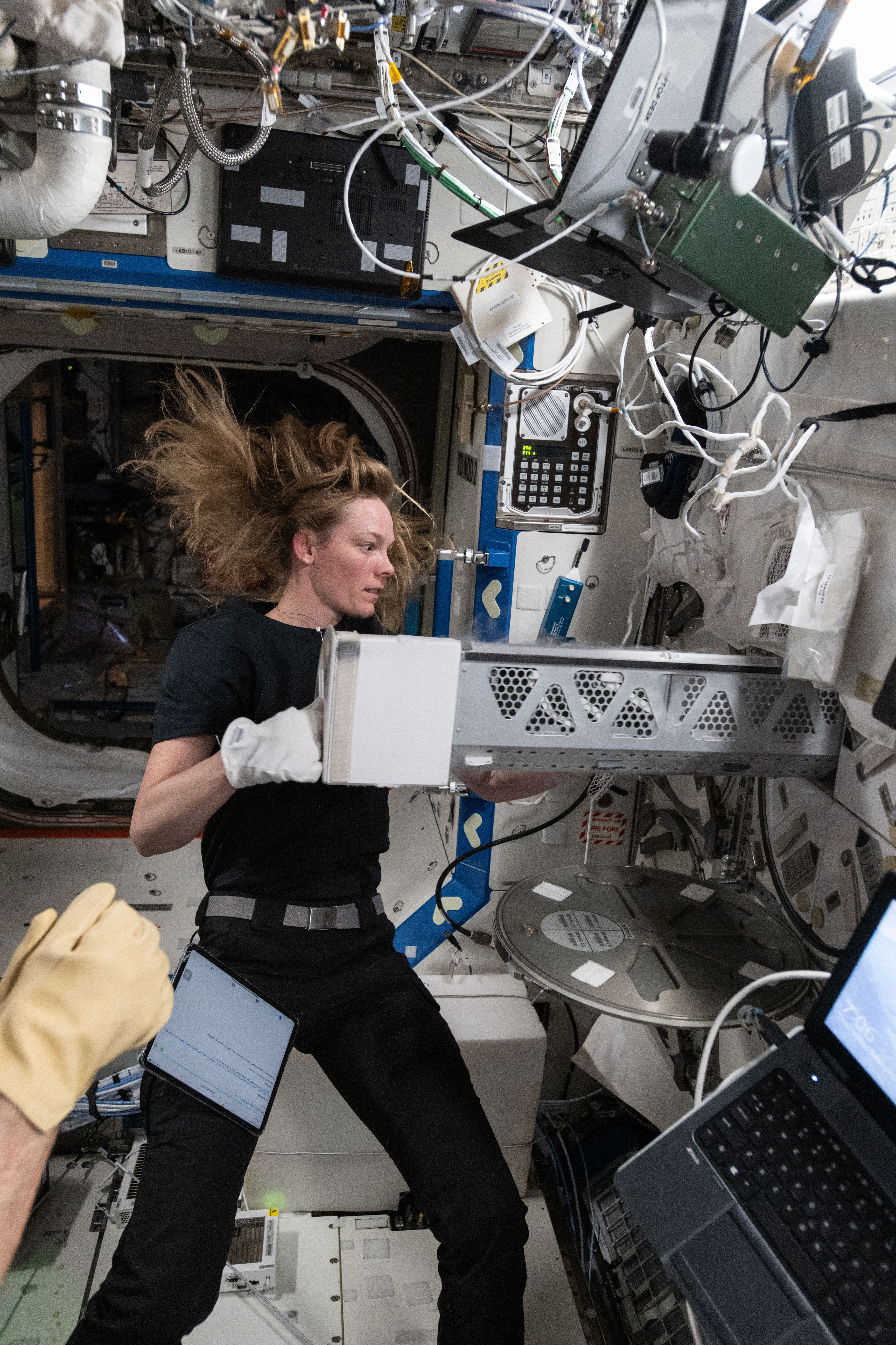 Astronaut Nichole Ayers inserts blood samples into a science freezer