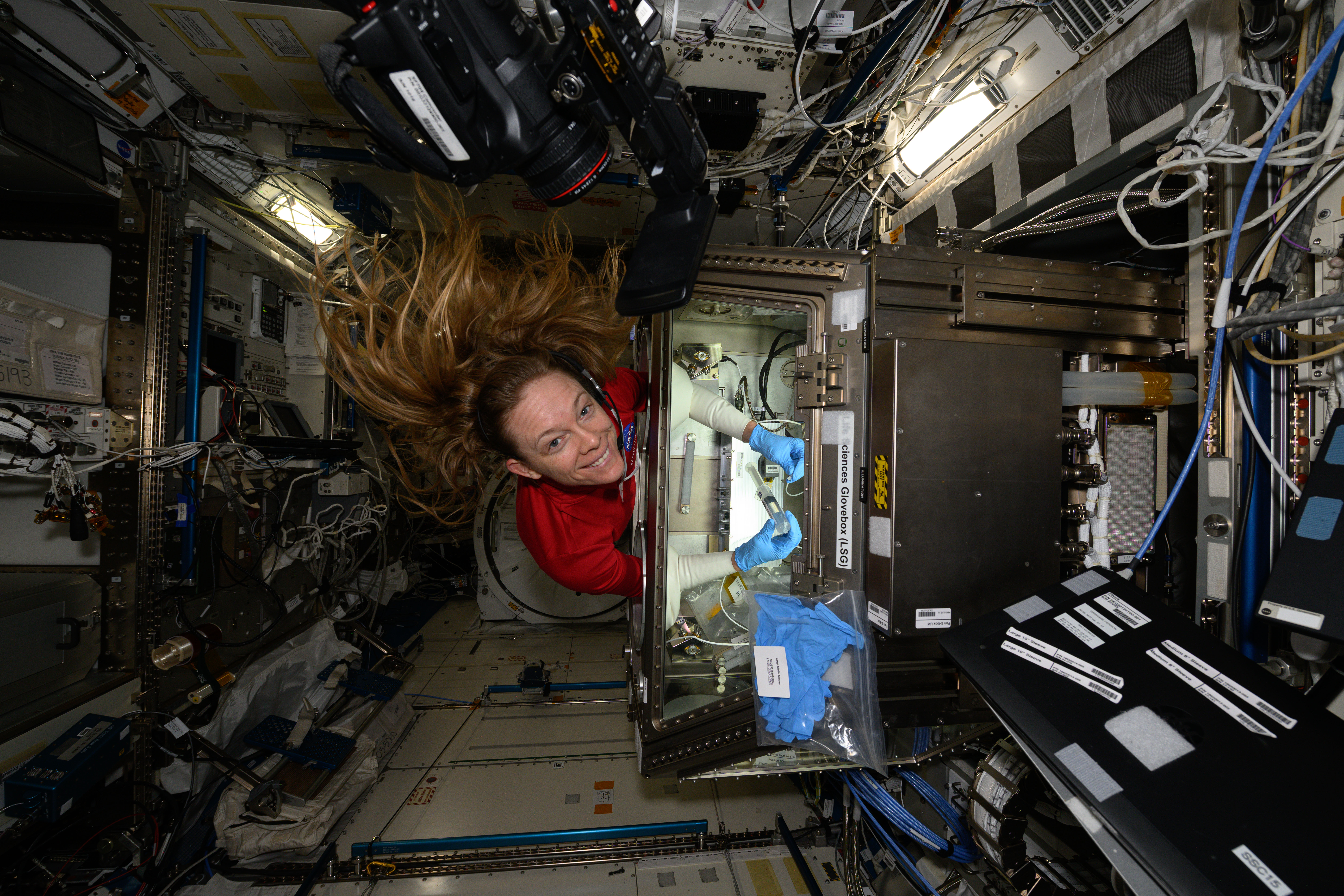 NASA astronaut Nichole Ayers conducts research operations inside the Life Science Glovebox