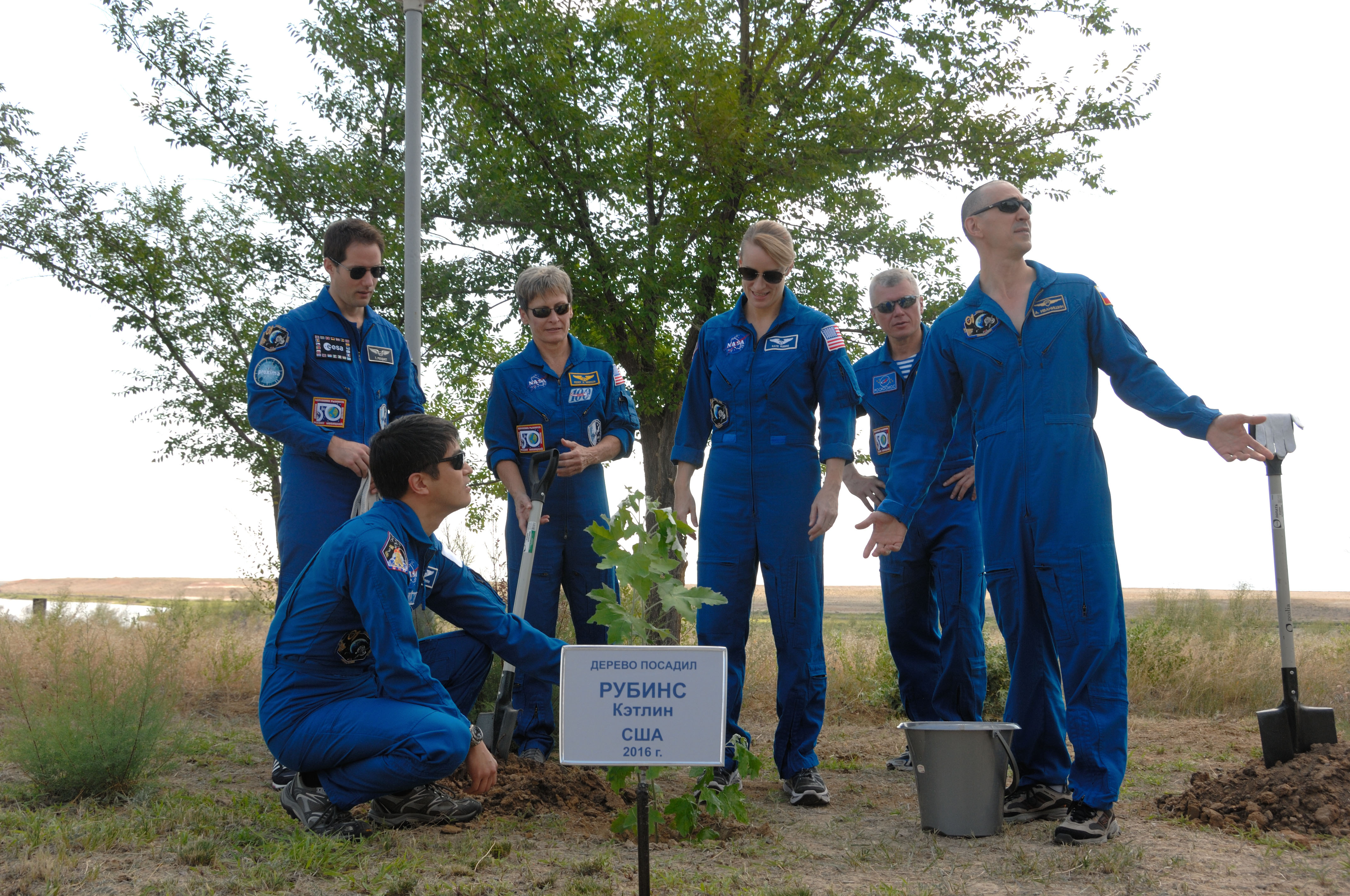 At the Cosmonaut Hotel in Baikonur, Kazakhstan, Expedition 48-49 crewmember Kate Rubins of NASA (third from left, standing) admires a tree she planted in her name in traditional pre-launch activities June 30 as her crewmates surround her. They include Takuya Onishi of the Japan Aerospace Exploration Agency (crouching), and backup crewmembers Thomas Pesquet of the European Space Agency (standing, left), Peggy Whitson of NASA (standing, second from the left), and Oleg Novitskiy (standing, second from the right) and prime crewmember Anatoly Ivanishin (right). Rubins, Ivanishin and Onishi will launch July 7, Baikonur time, on the Soyuz MS-01 spacecraft for a planned four-month mission on the International Space Station...NASA/Alexander Vysotsky.