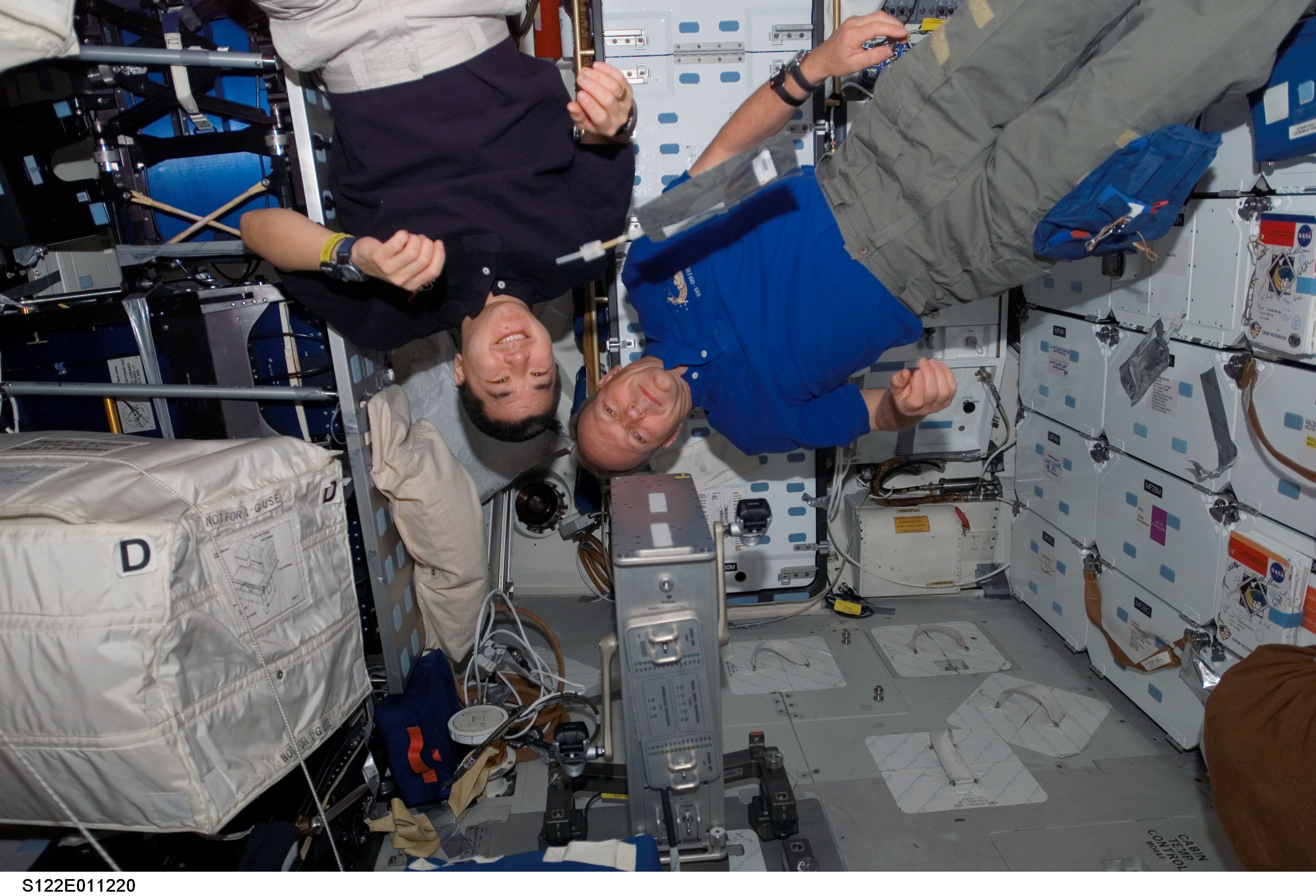 Tani and Schlegel on MDDK