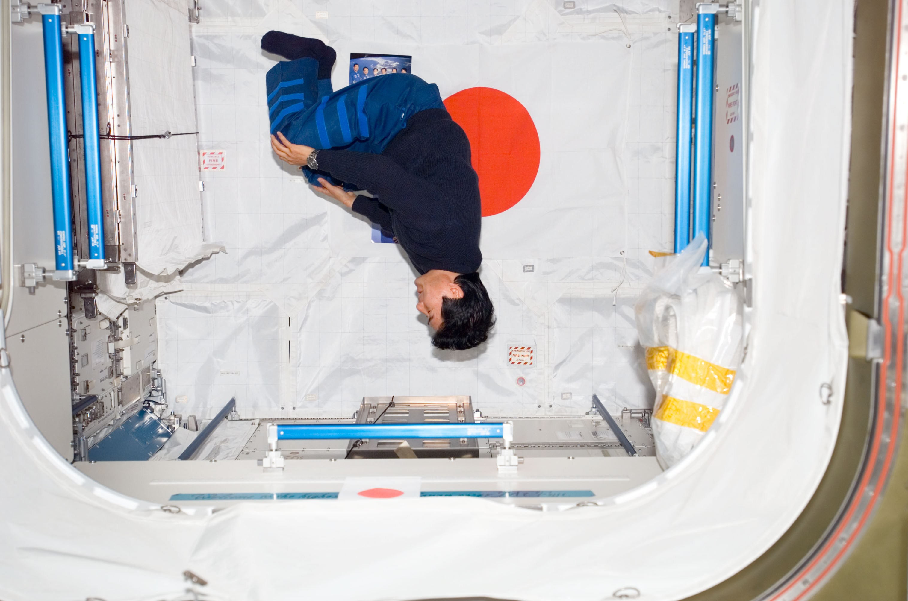 Doi floats in the JLP during STS-123 / Expedition 16 Joint Operations