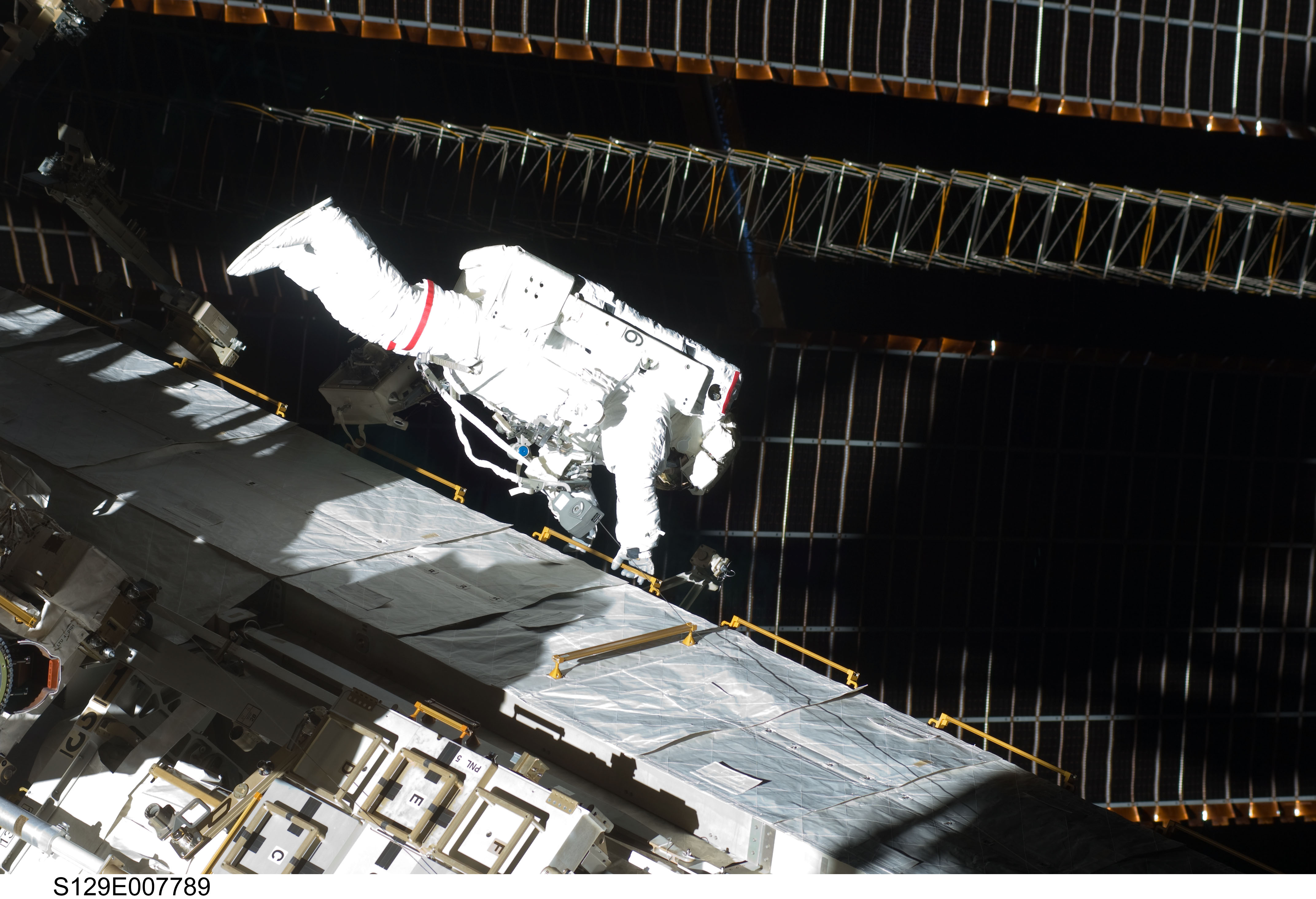 View of STS-129 MS3 Foreman during EVA2