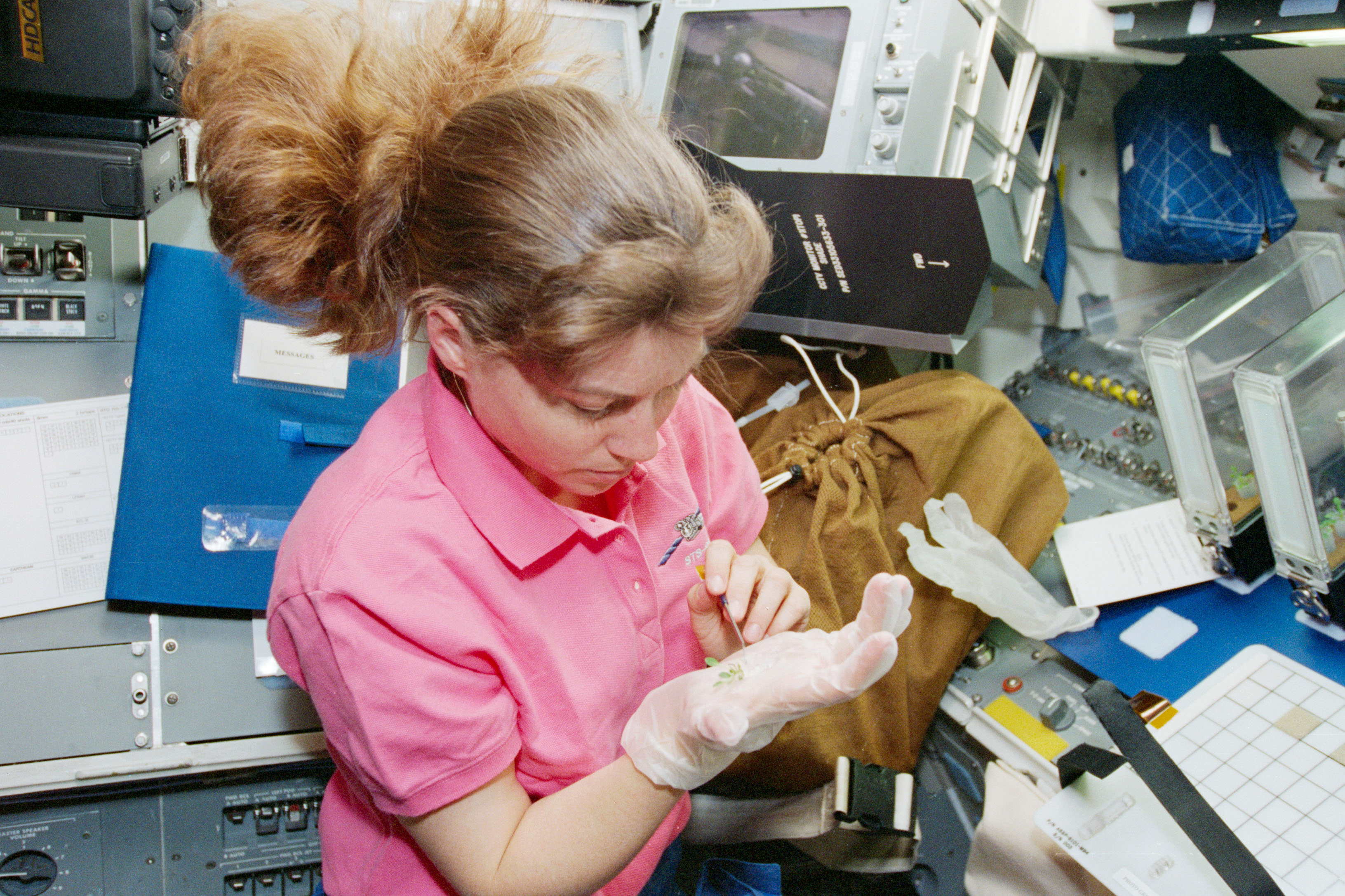 STS-93 MS Coleman works with a seedling from the PGIM-1 experiment
