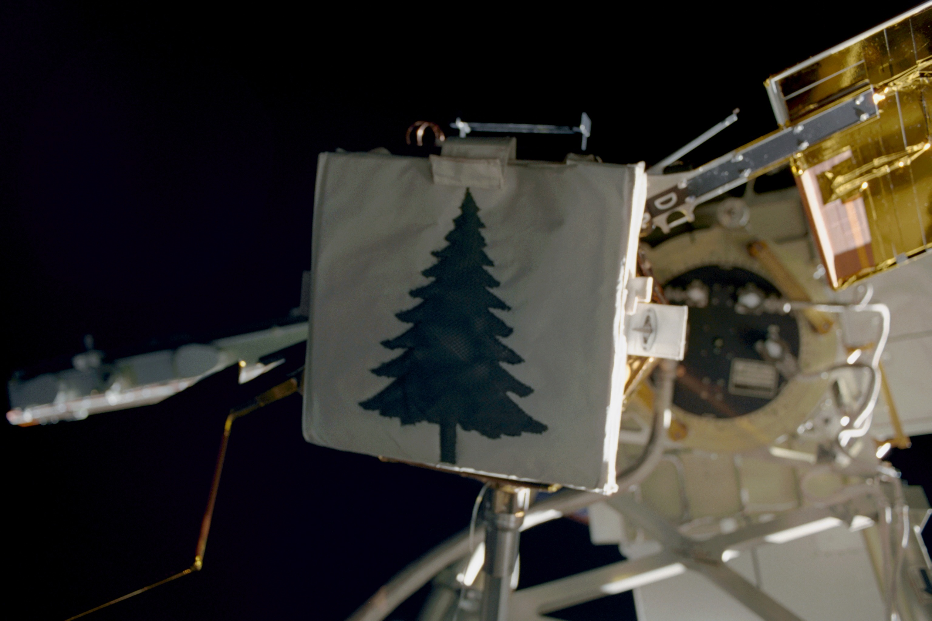 The Floating Potential Probe (FPP) taken during the third EVA of STS-97