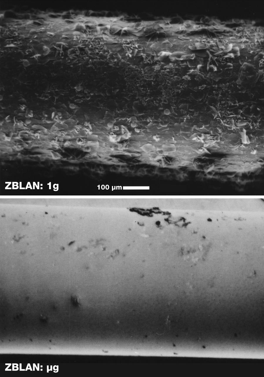 Scarning electron microscope images of the surface of ZBLAN fibers pulled in microgravity (ug) and on Earth (1g) show the crystallization that normally occurs in ground-based processing. The face of each crystal will reflect or refract a portion of the optical signal, thus degrading its quality. NASA is conducting research on pulling ZBLAN fibers in the low-g environment of space to prevent crystallization that limits ZBLAN's usefulness in optical fiber-based communications. ZBLAN is a heavy-metal fluoride glass that shows exdeptional promise for high-throughput communications with infrared lasers. Photo credit: NASA/Marshall Space Flight Center