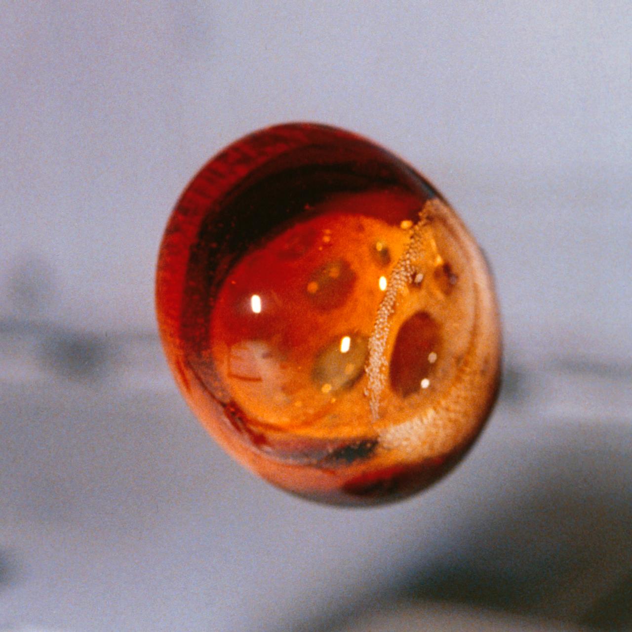The lack of normal convection in microgravity is demonstrated by a carbonated soft drink floating in the middeck of the Space Shuttle. While the droplet is oscillating slightly and starting to assume a spherical shape, it is filled with carbon dioxide bubbles in a range of sizes. On Earth, the bubbles would quickly foat up to form a head. In space, they are suspended. They may drift with time and eventually the surface tension between individual bubbles breaks, allowing larger bubbles to form. This image was taken during STS-51F mission (Spacelab 2) which carried test models of dispensers from two pupular soft drink manufacturers. Photo credit: NASA/Johnson Space Center (JSC)