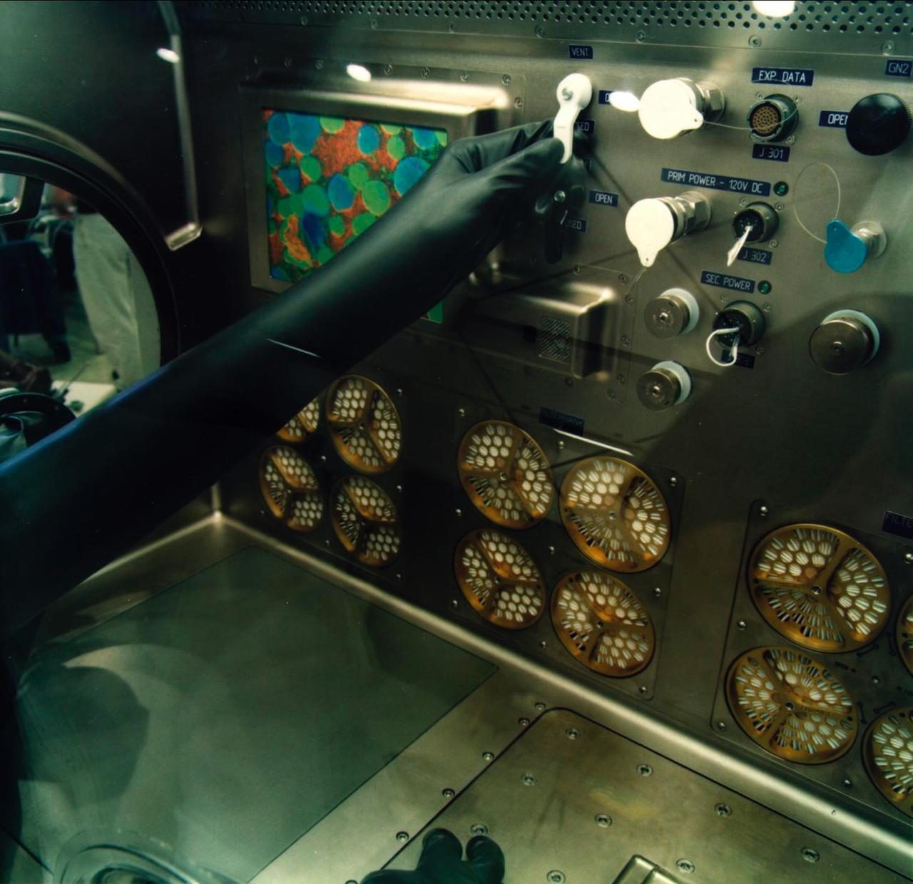 This photo shows the interior reach in the Microgravity Science Glovebox (MSG) being developed by the European Space Agency (ESA) and NASA for use aboard the International Space Station (ISS). Scientists will use the MSG to carry out multidisciplinary studies in combustion science, fluid physics and materials science. The MSG is managed by NASA's Marshall Space Flight Center (MSFC). Photo Credit: NASA/MSFC