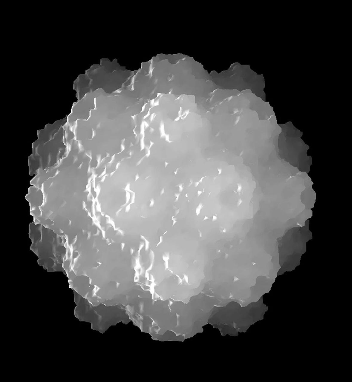 The bumpy exterior of the turnip yellow mosaic virus (TYMV) protein coat, or capsid, was defined in detail by Dr. Alexander McPherson of the University of California, Irvin using proteins crystallized in space for analysis on Earth. TYMV is an icosahedral virus constructed from 180 copies of the same protein arranged into 12 clusters of five proteins (pentamers), and 20 clusters of six proteins (hexamers). The final TYMV structure led to the unexpected hypothesis that the virus releases its RNA by essentially chemical-mechanical means. Most viruses have fairly flat coats, but in TYNV, the fold in each protein, called the jellyroll, is clustered at the points where the protein pentamers and hexamers join. The jellyrolls are almost standing on end, producing a bumpy surface with knobs at all of the pentamers and hexamers. At the inside surface of the pentamers is a void that is not present at the hexamers. The coating had been seen in early stuties of TYMV, but McPherson's atomic structure shows much more detail. The inside surface is strikingly, and unexpectedly, different than the outside. While the pentamers contain a central void on the inside, the hexameric units contain peptides linked to each other, forming a ring or, more accurately, rings to fill the void. Credit: Dr. Alexander McPherson, University of California, Irvine