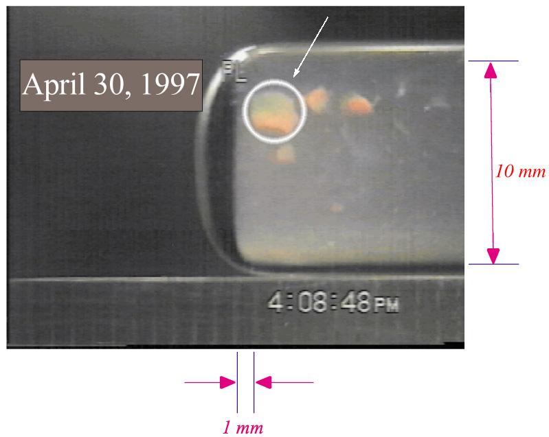 Experiments with colloidal solutions of plastic microspheres suspended in a liquid serve as models of how molecules interact and form crystals. For the Dynamics of Colloidal Disorder-Order Transition (CDOT) experiment, Paul Chaikin of Princeton University has identified effects that are attributable to Earth's gravity and demonstrated that experiments are needed in the microgravity of orbit. Space experiments have produced unexpected dendritic (snowflake-like) structures. To date, the largest hard sphere crystal grown is a 3 mm single crystal grown at the cool end of a ground sample. At least two more additional flight experiments are plarned aboard the International Space Station. This image is from a video downlink.