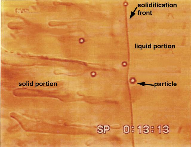 As a liquefied metal solidifies, particles dispersed in the liquid are either pushed ahead of or engulfed by the moving solidification front. Similar effects can be seen when the ground freezes and pushes large particles out of the soil. The Particle Engulfment and Pushing (PEP) experiment, conducted aboard the fourth U.S. Microgravity Payload (USMP-4) mission in 1997, used a glass and plastic beads suspended in a transparent liquid. The liquid was then frozen, trapping or pushing the particles as the solidifying front moved. This simulated the formation of advanced alloys and composite materials. Such studies help scientists to understand how to improve the processes for making advanced materials on Earth. The principal investigator is Dr. Doru Stefanescu of the University of Alabama. This image is from a video downlink.