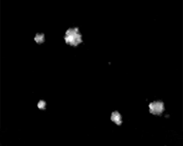 The potential for investigating combustion at the limits of flammability, and the implications for spacecraft fire safety, led to the Structures Of Flame Balls At Low Lewis-number (SOFBALL) experiment flown twice aboard the Space Shuttle in 1997. The success there led to reflight on STS-107 Research 1 mission plarned for 2002. This image is a video frame which shows MSL-1 flameballs which are intrinsically dim, thus requiring the use of image intensifiers on video cameras. The principal investigator is Dr. Paul Ronney of the University of Southern California, Los Angeles. Glenn Research in Cleveland, OH, manages the project.