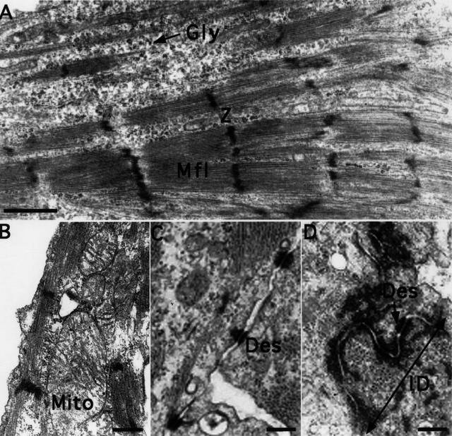 NASA image: Microgravity