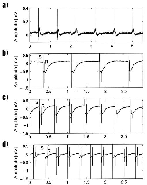 NASA image: Microgravity