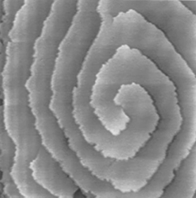 Atomic force microscopy uses laser technology to reveal a defect, a double-screw dislocation, on the surface of this crystal of canavalin, a major source of dietary protein for humans and domestic animals. When a crystal grows, attachment kinetics and transport kinetics are competing for control of the molecules. As a molecule gets close to the crystal surface, it has to attach properly for the crystal to be usable. NASA has funded investigators to look at those attachment kinetics from a theoretical standpoint and an experimental standpoint. Dr. Alex McPherson of the University of California, Irvine, is one of those investigators. He uses X-ray diffraction and atomic force microscopy in his laboratory to answer some of the many questions about how protein crystals grow. Atomic force microscopy provides a means of looking at how individual molecules are added to the surface of growing protein crystals. This helps McPherson understand the kinetics of protein crystal growth. McPherson asks, How fast do crystals grow? What are the forces involved? Investigators funded by NASA have clearly shown that such factors as the level of supersaturation and the rate of growth all affect the habit [characteristic arrangement of facets] of the crystal and the defects that occur in the crystal.