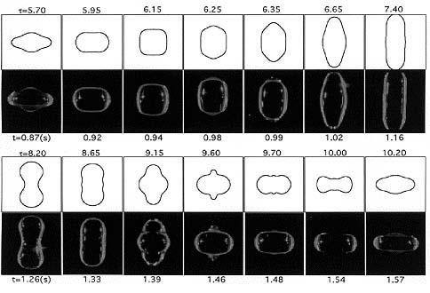 Apfel's excellent match: This series of photos shows a water drop containing a surfactant (Triton-100) as it experiences a complete cycle of superoscillation on U.S. Microgravity Lab-2 (USML-2; October 1995). The time in seconds appears under the photos. The figures above the photos are the oscillation shapes predicted by a numerical model. The time shown with the predictions is nondimensional. Robert Apfel (Yale University) used the Drop Physics Module on USML-2 to explore the effect of surfactants on liquid drops. Apfel's research of surfactants may contribute to improvements in a variety of industrial processes, including oil recovery and environmental cleanup.