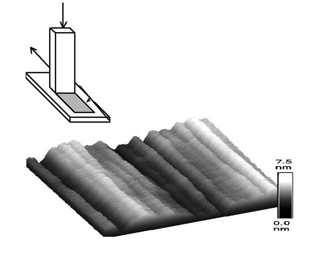 NASA is looking to biological techniques that are millions of years old to help it develop new materials and technologies for the 21st century. Sponsored by NASA, Viola Vogel, director of Washington University's Center for Nanotechnology and a principal investigator for the microgravity biotechnology program, is researching a monorail on a nanoscale to learn how to control translational motion of motor proteins in nonbiological environments in order to transport cargo between user-specified locations. Shear-deposition of Teflon on glass (top) is used in Viola Vogel's lab to create a nanogrooved surface. The topography controls the path that microtubules take as they shuttle nano-sized cargo between user-defined destinations.