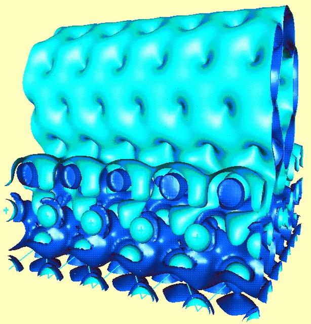 NASA is looking to biological techniques that are millions of years old to help it develop new materials and nanotechnology for the 21st century. Sponsored by NASA, Jerzy Bernholc, a principal investigator in the microgravity materials science program and a physics professor at North Carolina State University, Bernholc works with very large-scale computations to model carbon molecules as they assemble themselves to form nanotubes. The strongest confirmed material known, nanotubes are much stronger than graphite, a more common material made of carbon, and weigh six times less than steel. Nanotubes have potential uses such as strain gauges, advanced electronic devices, amd batteries. The strength, light weight, and conductive qualities of nanotubes, shown in light blue in this computed electron distribution, make them excellent components of nanoscale devices. One way to conduct electricity to such devices is through contact with aluminum, shown in dark blue.