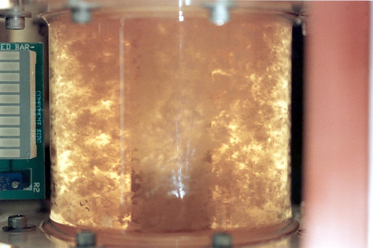 For 5 days on the STS-70 mission, a bioreactor cultivated human colon cancer cells, which grew to 30 times the volume of control specimens grown on Earth. This significant result was reproduced on STS-85 which grew mature structures that more closely match what are found in tumors in humans. Shown here, clusters of cells slowly spin inside a bioreactor. On Earth, the cells continually fall through the buffer medium and never hit bottom. In space, they are naturally suspended. Rotation ensures gentle stirring so waste is removed and fresh nutrient and oxygen are supplied. The NASA Bioreactor provides a low turbulence culture environment which promotes the formation of large, three-dimensional cell clusters. Due to their high level of cellular organization and specialization, samples constructed in the bioreactor more closely resemble the original tumor or tissue found in the body. The Bioreactor is rotated to provide gentle mixing of fresh and spent nutrient without inducing shear forces that would damage the cells. The work is sponsored by NASA's Office of Biological and Physical Research. The bioreactor is managed by the Biotechnology Cell Science Program at NASA's Johnson Space Center (JSC). NASA-sponsored bioreactor research has been instrumental in helping scientists to better understand normal and cancerous tissue development. In cooperation with the medical community, the bioreactor design is being used to prepare better models of human colon, prostate, breast and ovarian tumors. Cartilage, bone marrow, heart muscle, skeletal muscle, pancreatic islet cells, liver and kidney are just a few of the normal tissues being cultured in rotating bioreactors by investigators.
