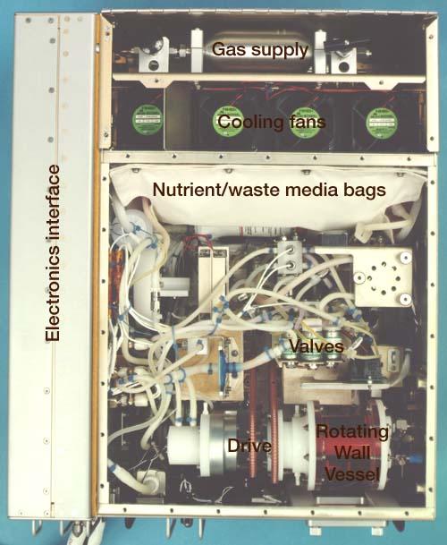 Bioreactor Demonstration System (BDS) comprises an electronics module, a gas supply module, and the incubator module housing the rotating wall vessel and its support systems. Nutrient media are pumped through an oxygenator and the culture vessel. The shell rotates at 0.5 rpm while the irner filter typically rotates at 11.5 rpm to produce a gentle flow that ensures removal of waste products as fresh media are infused. Periodically, some spent media are pumped into a waste bag and replaced by fresh media. When the waste bag is filled, an astronaut drains the waste bag and refills the supply bag through ports on the face of the incubator. Pinch valves and a perfusion pump ensure that no media are exposed to moving parts. An Experiment Control Computer controls the Bioreactor, records conditions, and alerts the crew when problems occur. The crew operates the system through a laptop computer displaying graphics designed for easy crew training and operation. The work is sponsored by NASA's Office of Biological and Physical Research. The bioreactor is managed by the Biotechnology Cell Science Program at NASA's Johnson Space Center (JSC). NASA-sponsored bioreactor research has been instrumental in helping scientists to better understand normal and cancerous tissue development. In cooperation with the medical community, the bioreactor design is being used to prepare better models of human colon, prostate, breast and ovarian tumors. Cartilage, bone marrow, heart muscle, skeletal muscle, pancreatic islet cells, liver and kidney are just a few of the normal tissues being cultured in rotating bioreactors by investigators. See No. 0101816 for a version without labels, and No. 0103180 for an operational schematic.