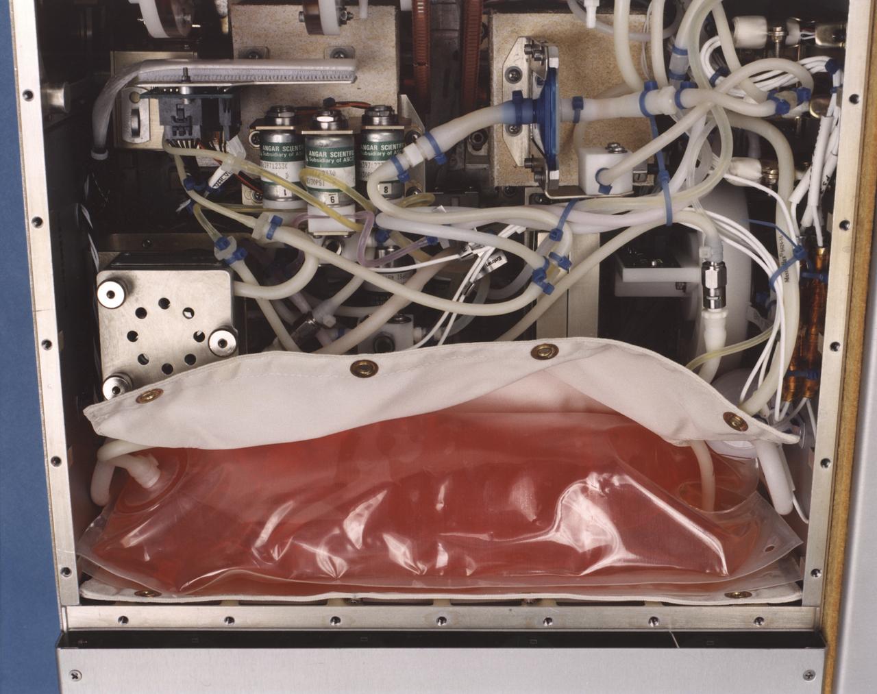 Close-up view of the interior of a NASA Bioreactor shows the plastic plumbing and valves (cylinders at center) to control fluid flow. A fresh nutrient bag is installed at top; a flattened waste bag behind it will fill as the nutrients are consumed during the course of operation. The drive chain and gears for the rotating wall vessel are visible at bottom center center. The NASA Bioreactor provides a low turbulence culture environment which promotes the formation of large, three-dimensional cell clusters. The Bioreactor is rotated to provide gentle mixing of fresh and spent nutrient without inducing shear forces that would damage the cells. Due to their high level of cellular organization and specialization, samples constructed in the bioreactor more closely resemble the original tumor or tissue found in the body. The work is sponsored by NASA's Office of Biological and Physical Research. The bioreactor is managed by the Biotechnology Cell Science Program at NASA's Johnson Space Center (JSC). NASA-sponsored bioreactor research has been instrumental in helping scientists to better understand normal and cancerous tissue development. In cooperation with the medical community, the bioreactor design is being used to prepare better models of human colon, prostate, breast and ovarian tumors. Cartilage, bone marrow, heart muscle, skeletal muscle, pancreatic islet cells, liver and kidney are just a few of the normal tissues being cultured in rotating bioreactors by investigators.