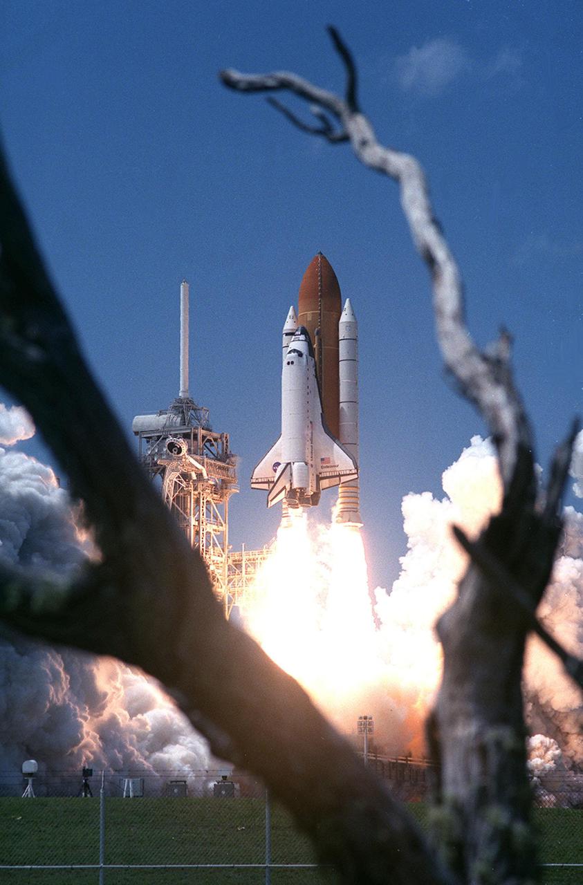KENNEDY SPACE CENTER, FLA. -- Framed between the branches of a tree, Space Shuttle Endeavour is hurtled into space on mission STS-100. Liftoff of Endeavour on the ninth flight to the International Space Station occurred at 2:40:42 p.m. EDT. The 11-day mission will deliver and integrate the Spacelab Logistics Pallet_Launch Deployment Assembly, which includes the Space Station Remote Manipulator System and the UHF Antenna. The mission includes two planned spacewalks for installation of the SSRMS on the Station. Also onboard is the Multi-Purpose Logistics Module Raffaello, carrying resupply stowage racks and resupply_return stowage platforms