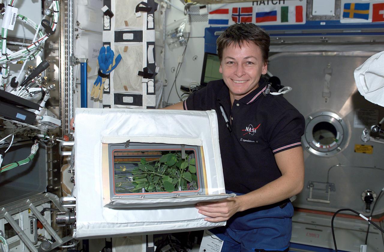 Expedition Five crewmember and flight engineer Peggy Whitson displays the progress of soybeans growing in the Advanced Astroculture (ADVASC) Experiment aboard the International Space Station (ISS). The ADVASC experiment was one of the several new experiments and science facilities delivered to the ISS by Expedition Five aboard the Space Shuttle Orbiter Endeavor STS-111 mission. An agricultural seed company will grow soybeans in the ADVASC hardware to determine whether soybean plants can produce seeds in a microgravity environment. Secondary objectives include determination of the chemical characteristics of the seed in space and any microgravity impact on the plant growth cycle. Station science will also be conducted by the ever-present ground crew, with a new cadre of controllers for Expedition Five in the ISS Payload Operations Control Center (POCC) at NASA's Marshall Space Flight Center in Huntsville, Alabama. Controllers work in three shifts around the clock, 7 days a week, in the POCC, the world's primary science command post for the Space Station. The POCC links Earth-bound researchers around the world with their experiments and crew aboard the Space Station.