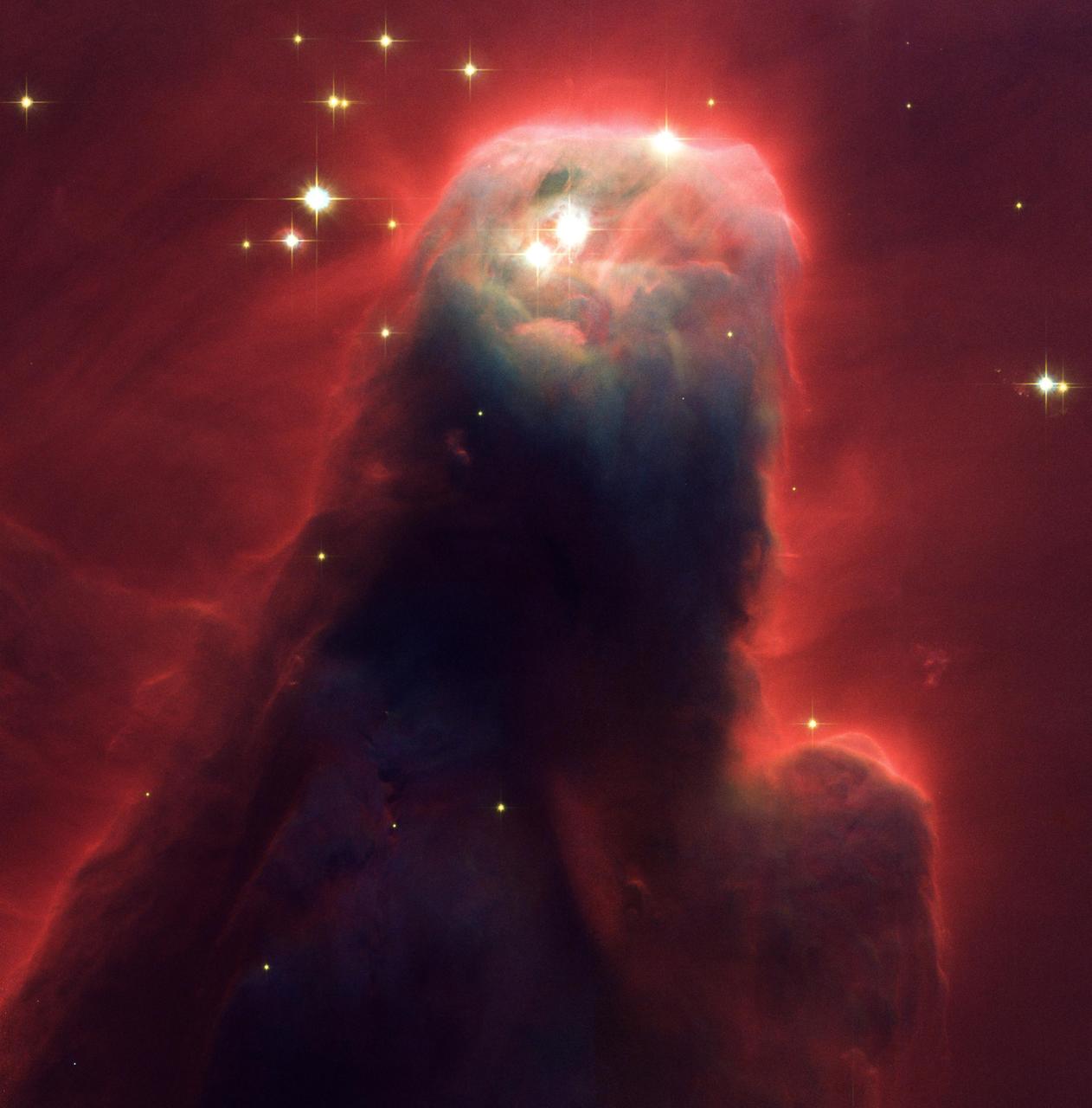 Resembling a nightmarish beast rearing its head from a crimson sea, this monstrous object is actually an irnocuous pillar of gas and dust. Called the Cone Nebula (NGC 2264), this giant pillar resides in a turbulent star-forming region. This picture, taken by the newly installed Advanced Camera for Surveys (ACS) aboard Hubble Space Telescope (HST) during Space Shuttle STS-109 mission in March 2002, shows the upper 2.5 light-years of the nebula, a height that equals 23 million roundtrips to the Moon. The entire nebula is 7 light-years long. The Cone Nebula resides 2,500 light-years away in the constellation Monoceros. Radiation from hot, young stars (located beyond the top of the image) has slowly eroded the nebula over millions of years. Ultraviolet light heats the edges of the dark cloud, releasing gas into the relatively empty region of surrounding space. There, additional ultraviolet radiation causes the hydrogen gas to glow, which produces the red halo of light seen around the pillar. A similar process occurs on a much smaller scale to gas surrounding a single star, forming the bow-shaped arc seen near the upper left side of the Cone. This arc, seen previously with the HST, is 65 times larger than the diameter of our solar system. The blue-white light from surrounding stars is reflected by dust. Background stars can be seen peeking through the evaporating tendrils of gas, while the turbulent base is pockmarked with stars reddened by dust. Credit: NASA, H. Ford (JHU), G. Illingworth (USCS/LO), M. Clampin (STScI), G. Hartig (STScI), the ACS Science Team, and ESA.