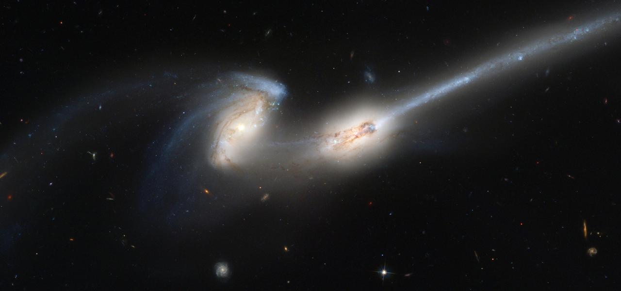 The Advanced Camera for Surveys (ACS), the newest camera on the Hubble Space Telescope, has captured a spectacular pair of galaxies. Located 300 million light-years away in the constellation Coma Berenices, the colliding galaxies have been nicknamed "The Mice" because of the long tails of stars and gas emanating from each galaxy. Otherwise known as NGC 4676, the pair will eventually merge into a single giant galaxy. In the galaxy at left, the bright blue patch is resolved into a vigorous cascade of clusters and associations of young, hot blue stars, whose formation has been triggered by the tidal forces of the gravitational interaction. The clumps of young stars in the long, straight tidal tail (upper right) are separated by fainter regions of material. These dim regions suggest that the clumps of stars have formed from the gravitational collapse of the gas and dust that once occupied those areas. Some of the clumps have luminous masses comparable to dwarf galaxies that orbit the halo of our own Milky Way Galaxy. Computer simulations by astronomers show that we are seeing two near identical spiral galaxies approximately 160 million years after their closest encounter. The simulations also show that the pair will eventually merge, forming a large, nearly spherical galaxy (known as an elliptical galaxy). The Mice presage what may happen to our own Milky Way several billion years from now when it collides with our nearest large neighbor, the Andromeda Galaxy (M31). This picture is assembled from three sets of images taken on April 7, 2002, in blue, orange, and near-infrared filters. Credit: NASA, H. Fort (JHU), G. Illingworth (USCS/LO), M. Clampin (STScI), G. Hartig (STScI), the ACS Science Team, and ESA.