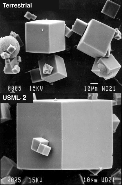 The Center for Advanced Microgravity Materials Processing (CAMMP), a NASA-sponsored Research Partnership Center, is working to improve zeolite materials for storing hydrogen fuel. CAMMP is also applying zeolites to detergents, optical cables, gas and vapor detection for environmental monitoring and control, and chemical production techniques that significantly reduce by-products that are hazardous to the environment. Shown here are zeolite crystals (top) grown in a ground control experiment and grown in microgravity on the USML-2 mission (bottom). Zeolite experiments have also been conducted aboard the International Space Station.