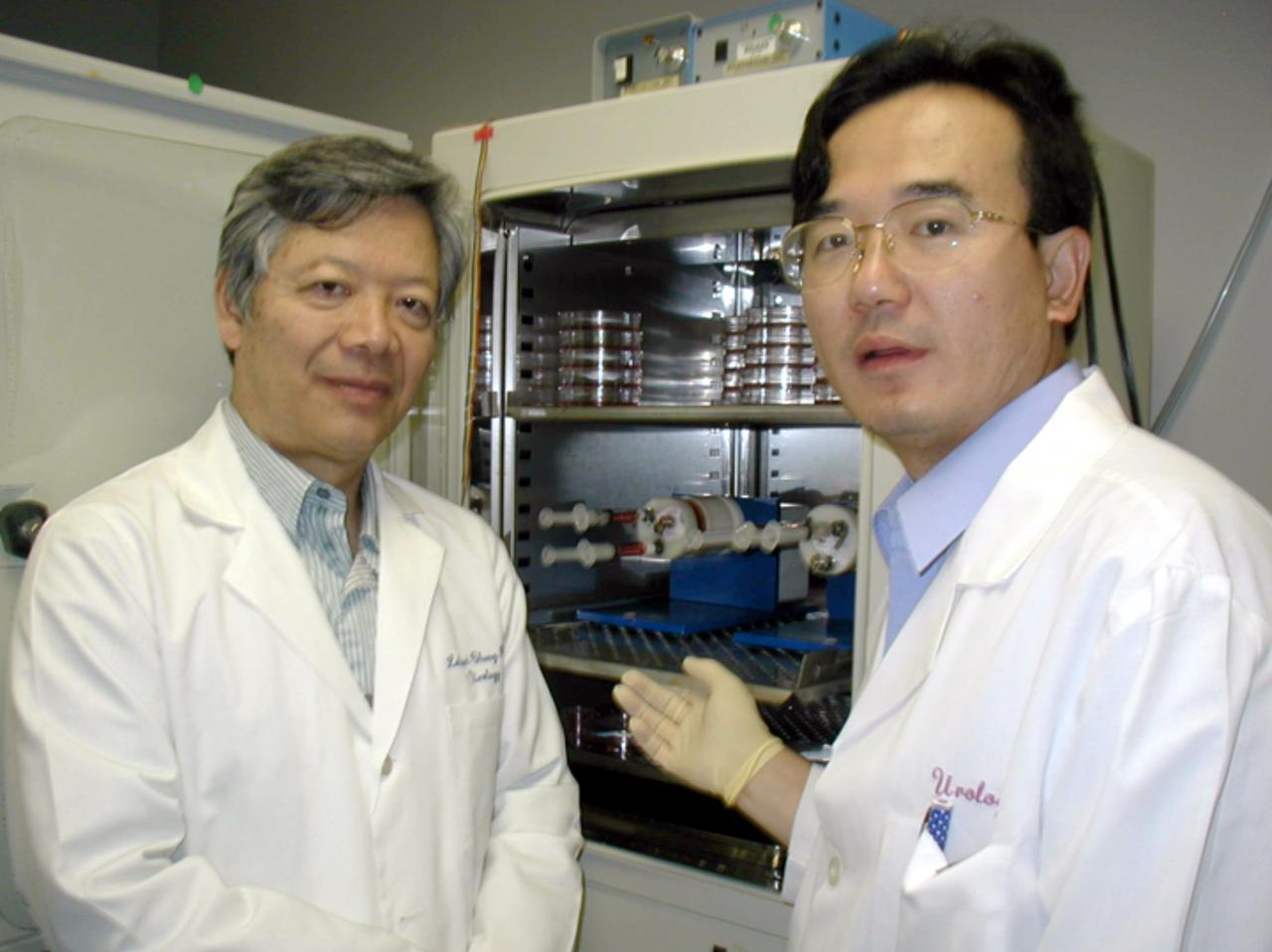 Leland W. K. Chung (left), Director, Molecular Urology Therapeutics Program at the Winship Cancer Institute at Emory University, is principal investigator for the NASA bioreactor demonstration system (BDS-05). With him is Dr. Jun Shu, an assistant professor of Orthopedics Surgery from Kuming Medical University China. The NASA Bioreactor provides a low turbulence culture environment which promotes the formation of large, three-dimensional cell clusters. Due to their high level of cellular organization and specialization, samples constructed in the bioreactor more closely resemble the original tumor or tissue found in the body. The Bioreactor is rotated to provide gentle mixing of fresh and spent nutrient without inducing shear forces that would damage the cells. The work is sponsored by NASA's Office of Biological and Physical Research. The bioreactor is managed by the Biotechnology Cell Science Program at NASA's Johnson Space Center (JSC). NASA-sponsored bioreactor research has been instrumental in helping scientists to better understand normal and cancerous tissue development. In cooperation with the medical community, the bioreactor design is being used to prepare better models of human colon, prostate, breast and ovarian tumors. Cartilage, bone marrow, heart muscle, skeletal muscle, pancreatic islet cells, liver and kidney are just a few of the normal tissues being cultured in rotating bioreactors by investigators. Credit: Emory University.