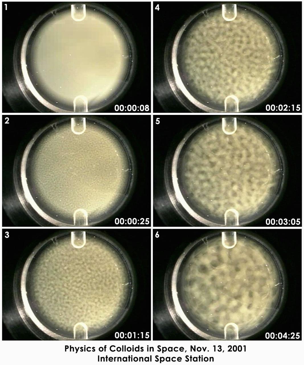 Still photographs taken over 16 hours on Nov. 13, 2001, on the International Space Station have been condensed into a few seconds to show the de-mixing -- or phase separation -- process studied by the Experiment on Physics of Colloids in Space. Commanded from the ground, dozens of similar tests have been conducted since the experiment arrived on ISS in 2000. The sample is a mix of polymethylmethacrylate (PMMA or acrylic) colloids, polystyrene polymers and solvents. The circular area is 2 cm (0.8 in.) in diameter. The phase separation process occurs spontaneously after the sample is mechanically mixed. The evolving lighter regions are rich in colloid and have the structure of a liquid. The dark regions are poor in colloids and have the structure of a gas. This behavior carnot be observed on Earth because gravity causes the particles to fall out of solution faster than the phase separation can occur. While similar to a gas-liquid phase transition, the growth rate observed in this test is different from any atomic gas-liquid or liquid-liquid phase transition ever measured experimentally. Ultimately, the sample separates into colloid-poor and colloid-rich areas, just as oil and vinegar separate. The fundamental science of de-mixing in this colloid-polymer sample is the same found in the annealing of metal alloys and plastic polymer blends. Improving the understanding of this process may lead to improving processing of these materials on Earth.