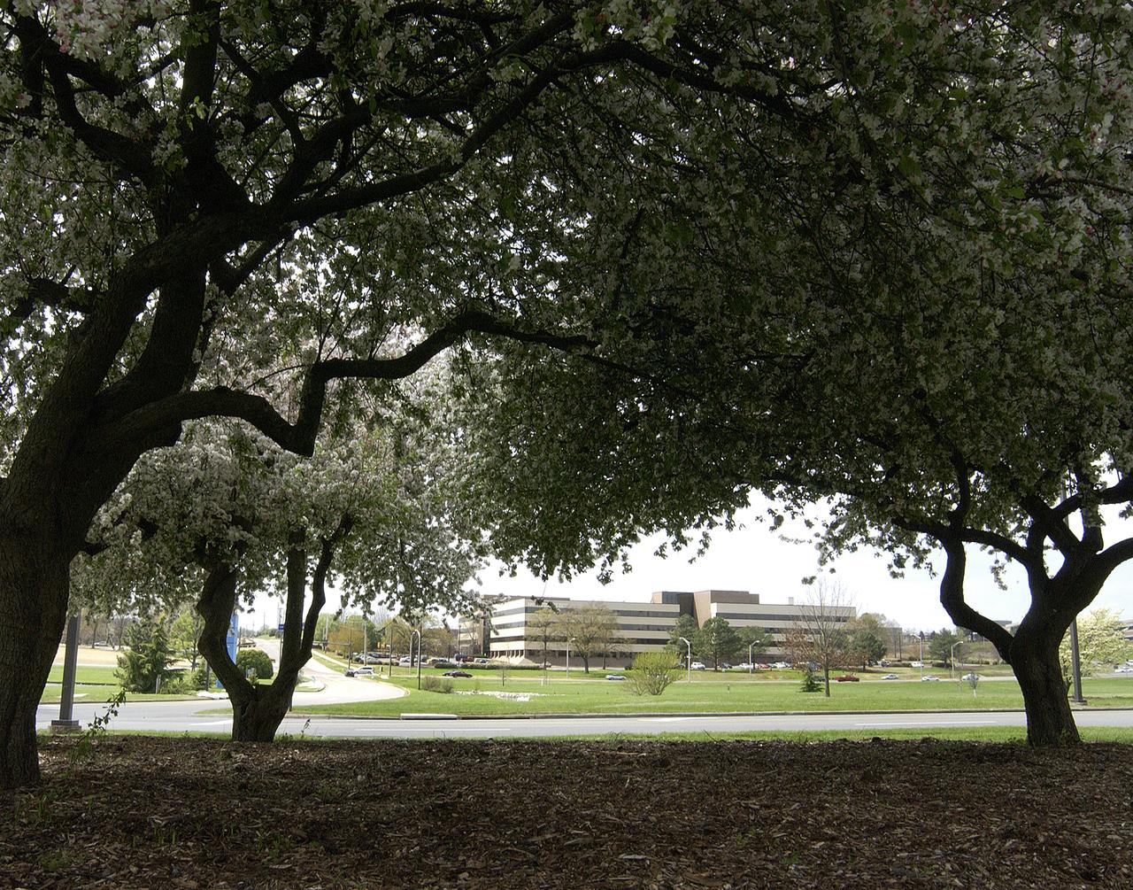The National Space Science and Technology Center (NSSTC), located in Huntsville, Alabama, is a laboratory for cutting-edge research in selected scientific and engineering disciplines. The major objectives of the NSSTC are to provide multiple fields of expertise coming together to solve solutions to science and technology problems, and gaining recognition as a world-class science research organization. The center, opened in August 2000, focuses on space science, Earth sciences, information technology, optics and energy technology, biotechnology and materials science, and supports NASA's mission of advancing and communicating scientific knowledge using the environment of space for research. In addition to providing basic and applied research, NSSTC, with its student participation, also fosters the next generation of scientists and engineers. NSSTC is a collaborated effort between NASA and the state of Alabama through the Space Science and Technology alliance, a group of six universities including the Universities of Alabama in Huntsville (UAH),Tuscaloosa (UA), and Birmingham (UAB); the University of South Alabama in Mobile (USA);Alabama Agricultural and Mechanical University (AM) in Huntsville; and Auburn University (AU) in Auburn. Participating federal agencies include NASA, Marshall Space Flight Center, the National Oceanic and Atmospheric Administration, the Department of Defense, the National Science Foundation, and the Department of Energy. Industries involved include the Space Science Research Center, the Global Hydrology and Climate Center, the Information Technology Research Center, the Optics and Energy Technology Center, the Propulsion Research Center, the Biotechnology Research Center, and the Materials Science Research Center. This photo shows the completed center with the additional arnex (right of building) that added an additional 80,000 square feet (7,432 square meters) to the already existent NSSTC, nearly doubling the size of the core facility. At full capacity, the NSSTC tops 200,000 square feet (18,580 square meters) and houses approximately 550 employees.