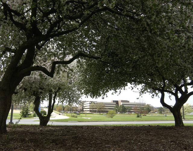 NASA image: Around Marshall