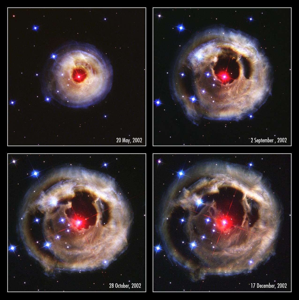This series of photos, captured by the NASA Hubble Space Telescope's (HST) Advanced Camera for Surveys from May to December 2002, dramatically demonstrates the reverberation of light through space caused by an unusual stellar outburst in January 2002. A burst of light from the bizarre star is spreading into space and reflecting off of surrounding circumstellar dust. As different parts are sequentially illuminated, the appearance of the dust changes. This effect is referred to as a "light echo". The red star at the center of the eyeball like feature is the unusual erupting super giant called V838 Monocerotis, or V Mon, located about 20,000 light-years away in the winter constellation Monoceros (the Unicorn). During its outburst, the star brightened to more than 600,000 times our Sun's luminosity. The circular feature has now expanded to slightly larger than the angular size of Jupiter on the sky, and will continue to expand for several more years until the light from the back side of the nebula begins to arrive. The light echo will then give the illusion of contracting, until it finally disappears by the end of the decade.